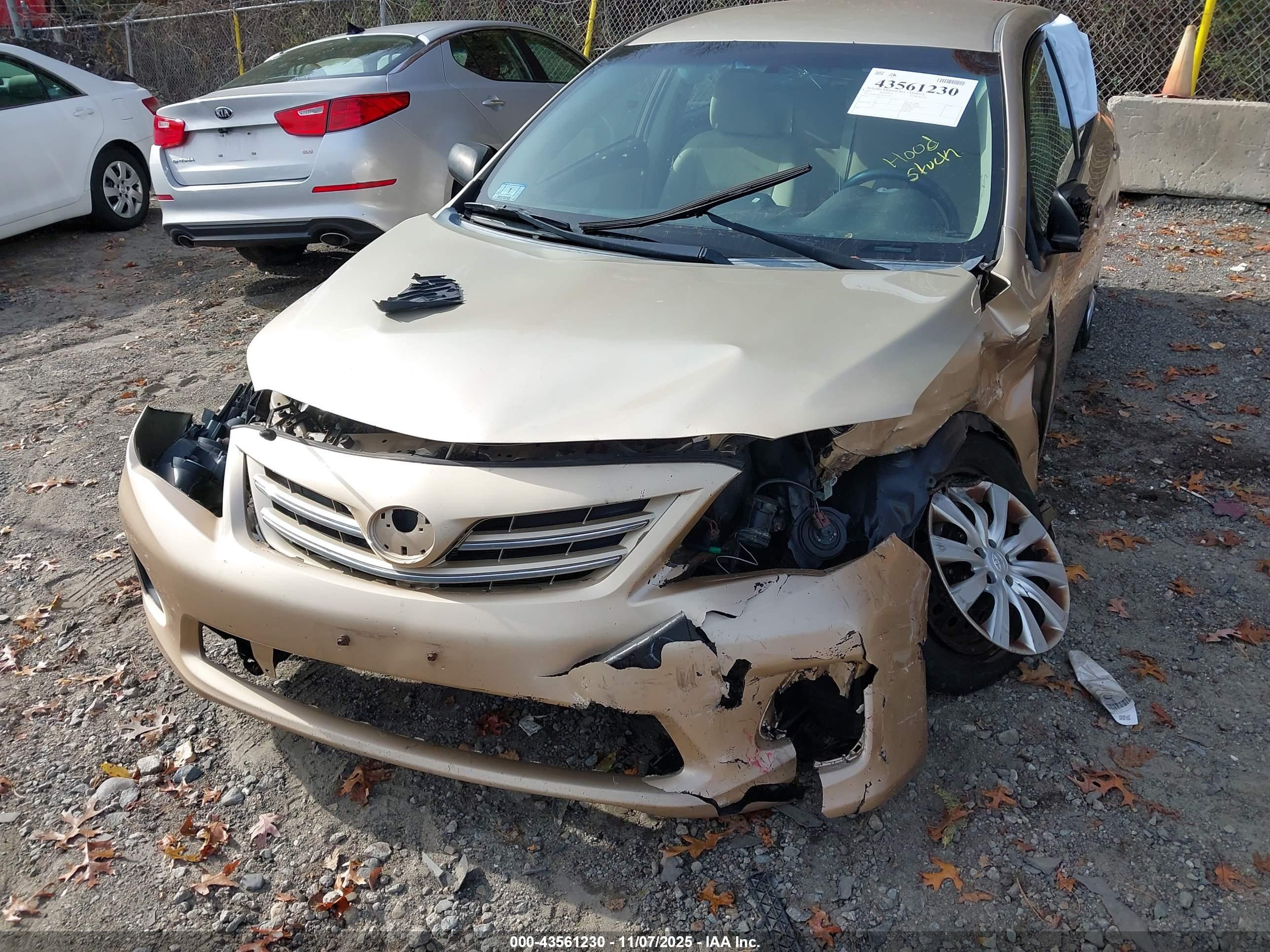 TOYOTA COROLLA image 6