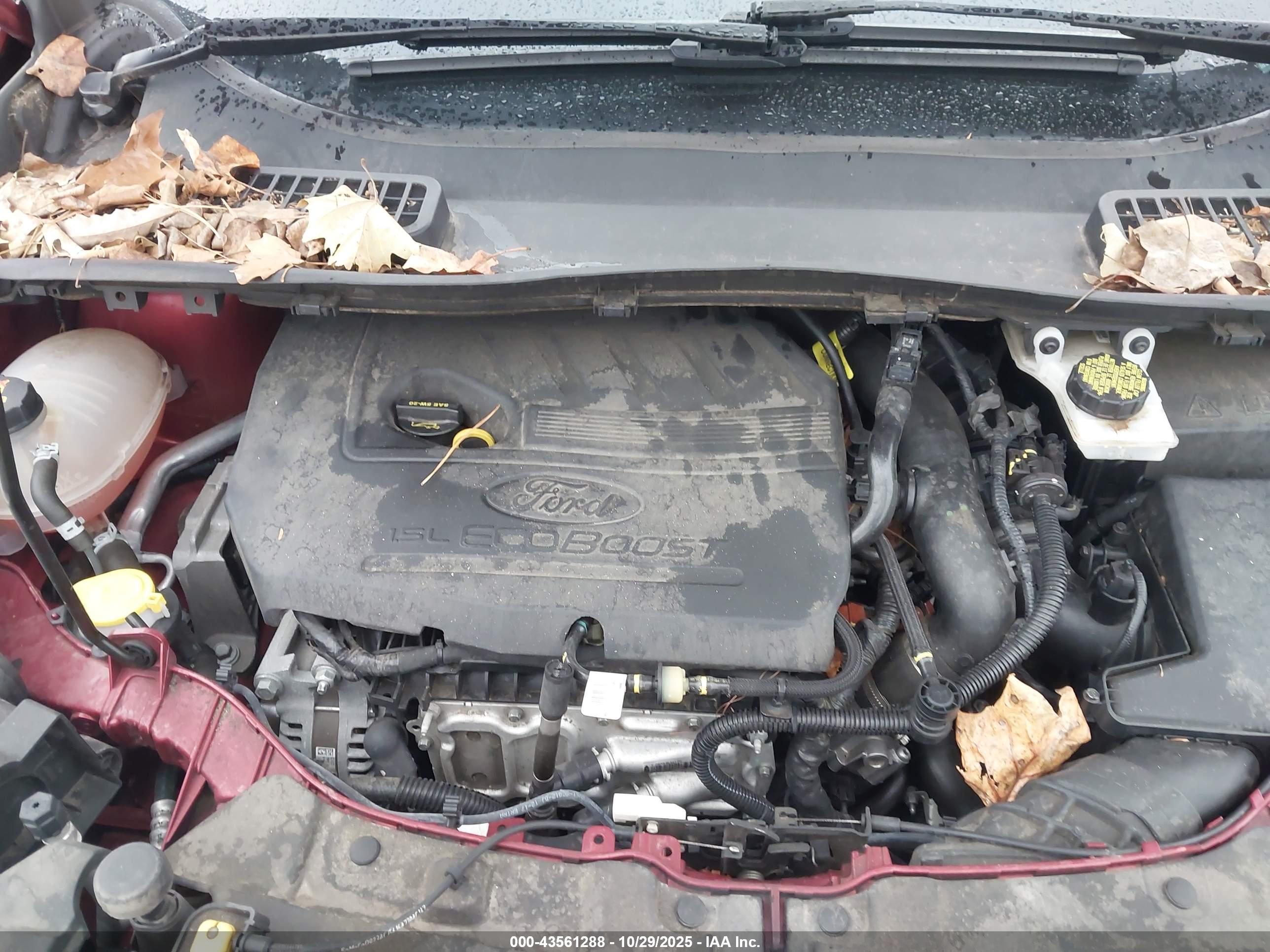 FORD ESCAPE image 10