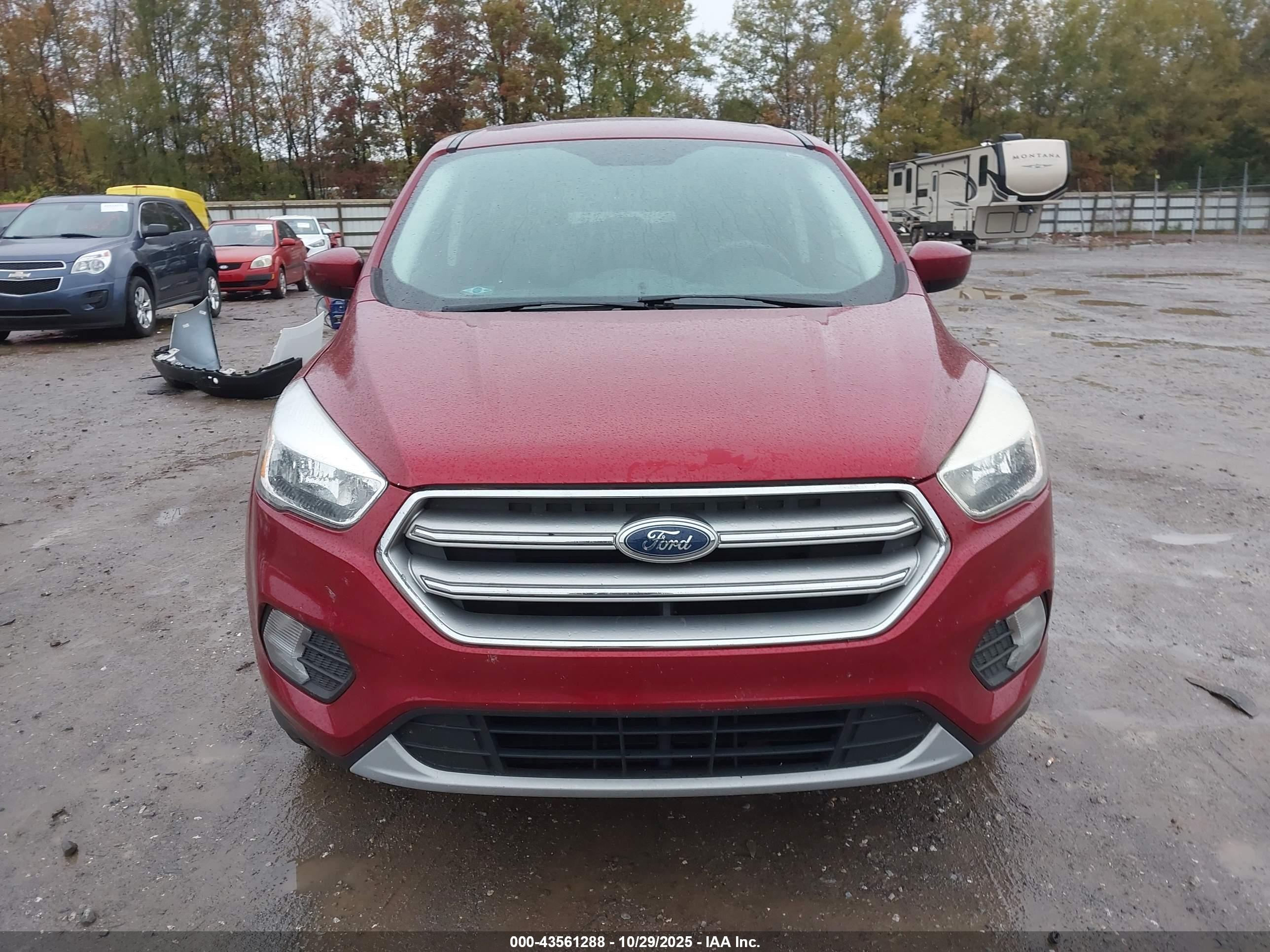 FORD ESCAPE image 6