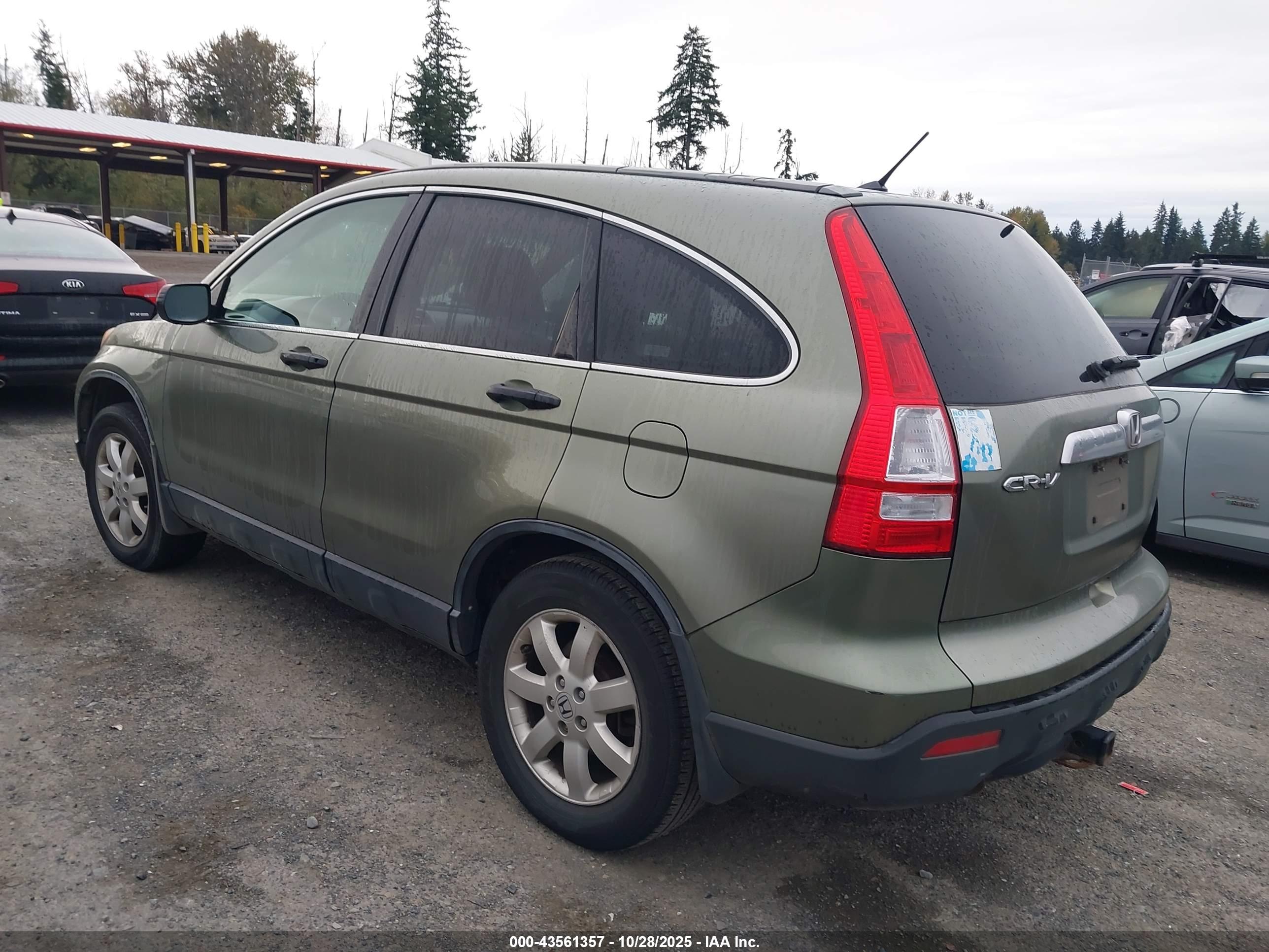 HONDA CR-V image 3