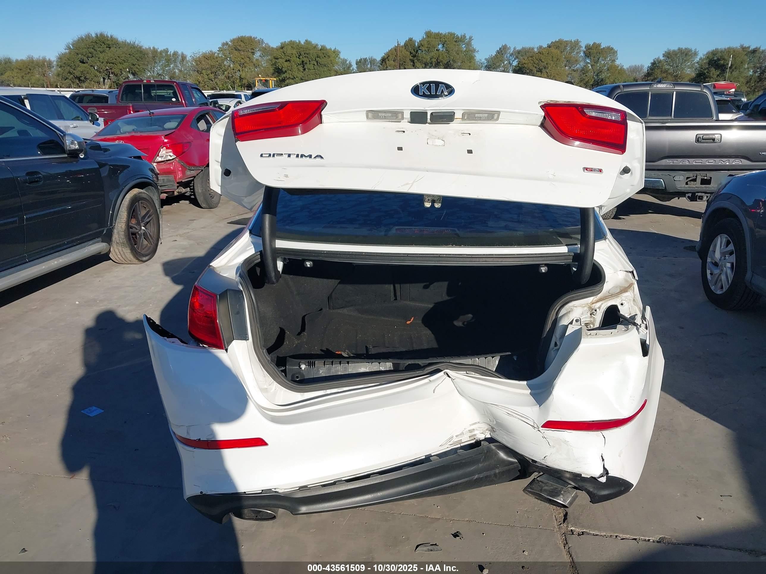 KIA OPTIMA image 6