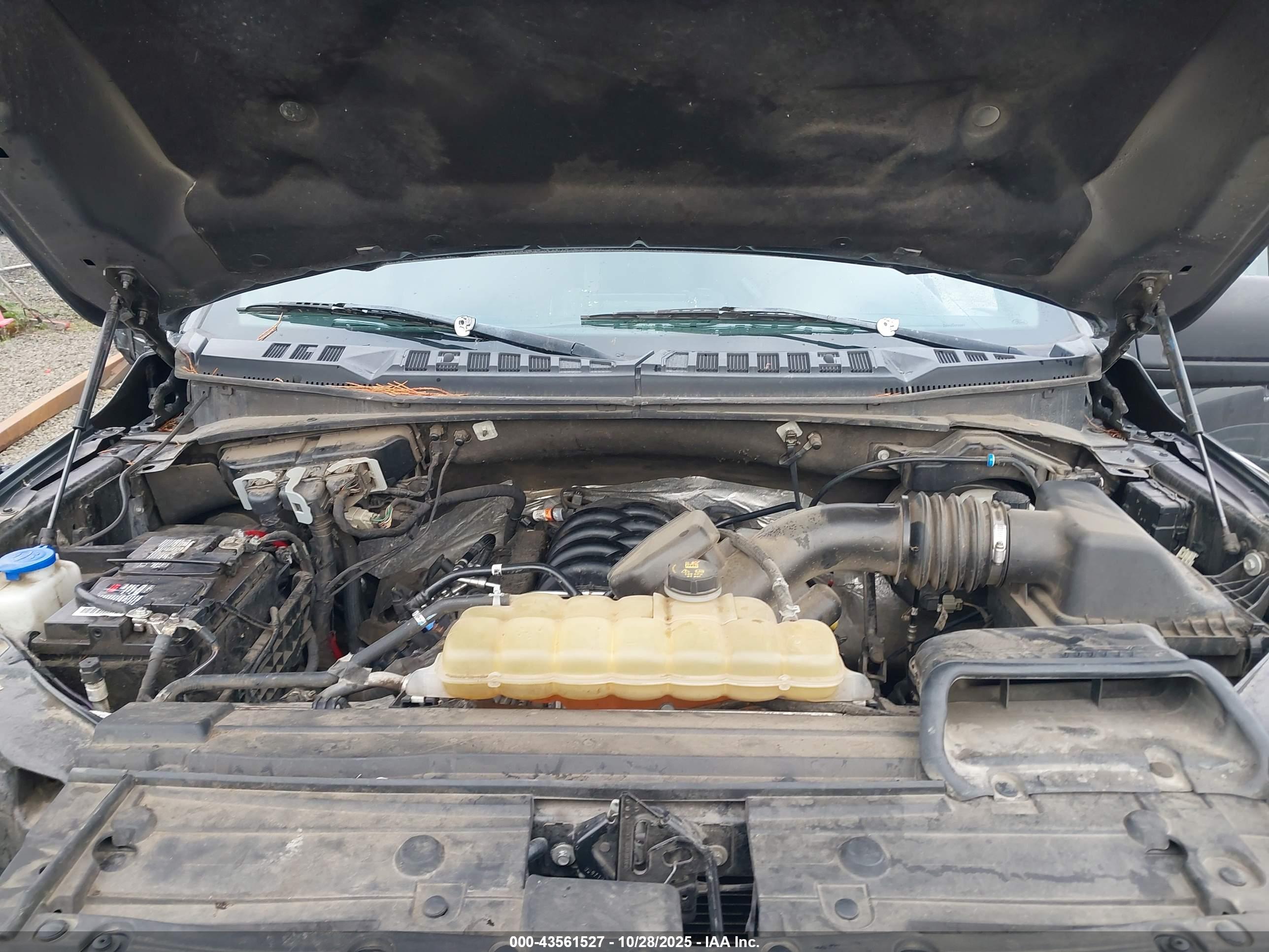 FORD F-150 image 10