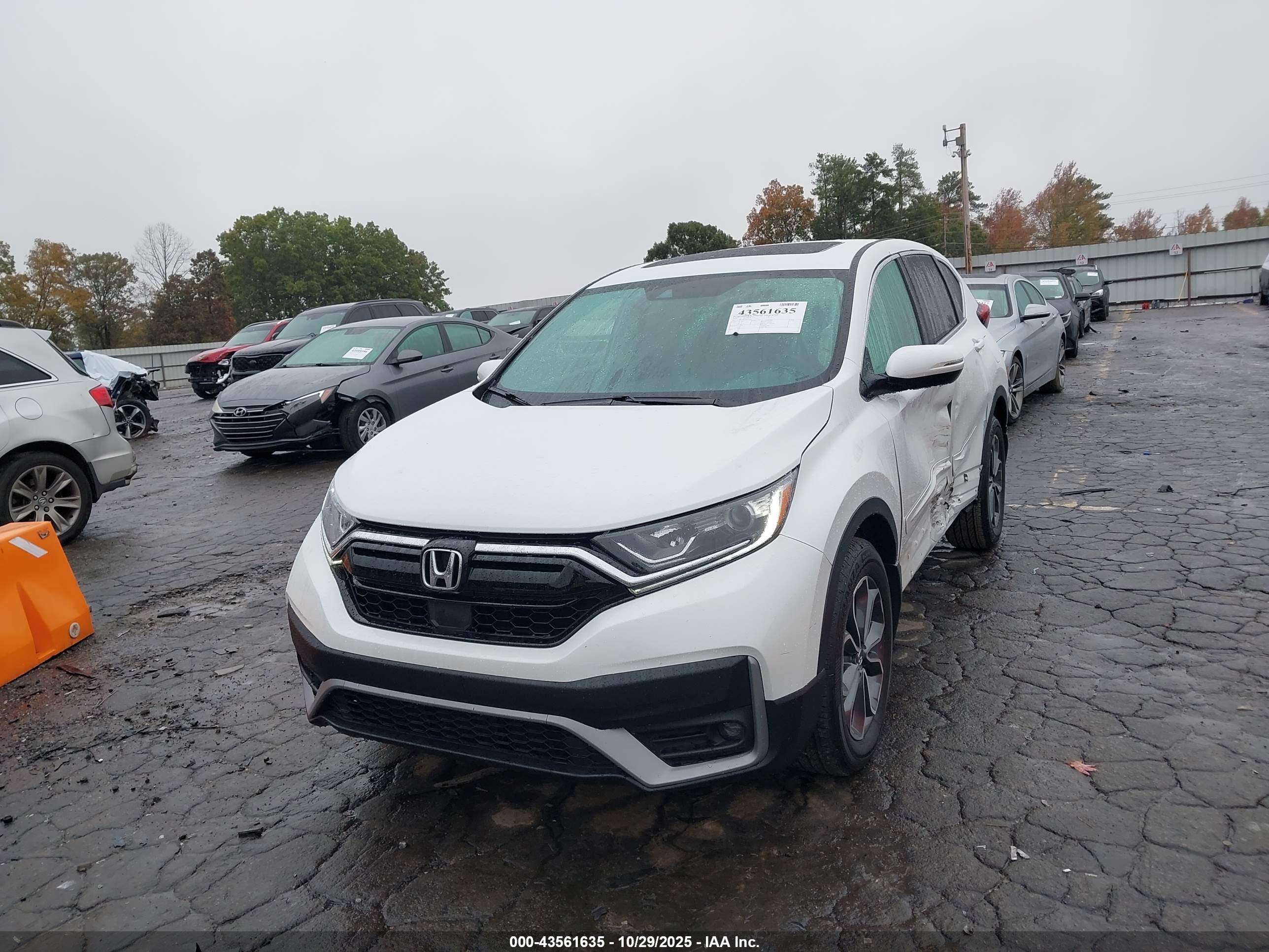 HONDA CR-V image 2