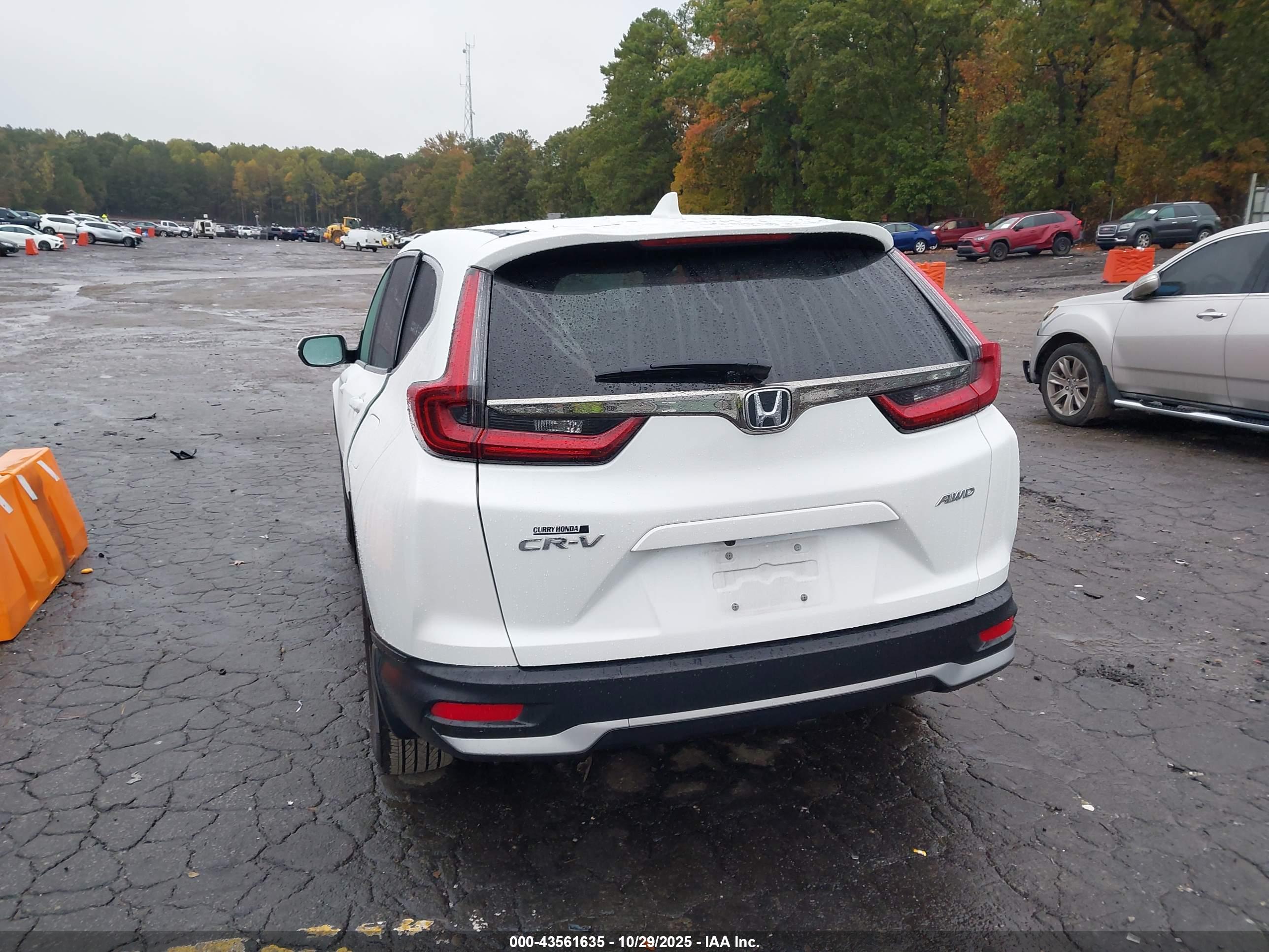 HONDA CR-V image 3