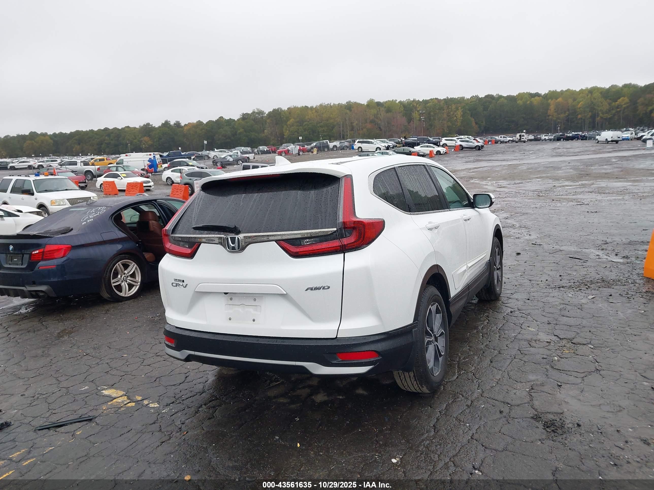 HONDA CR-V image 4