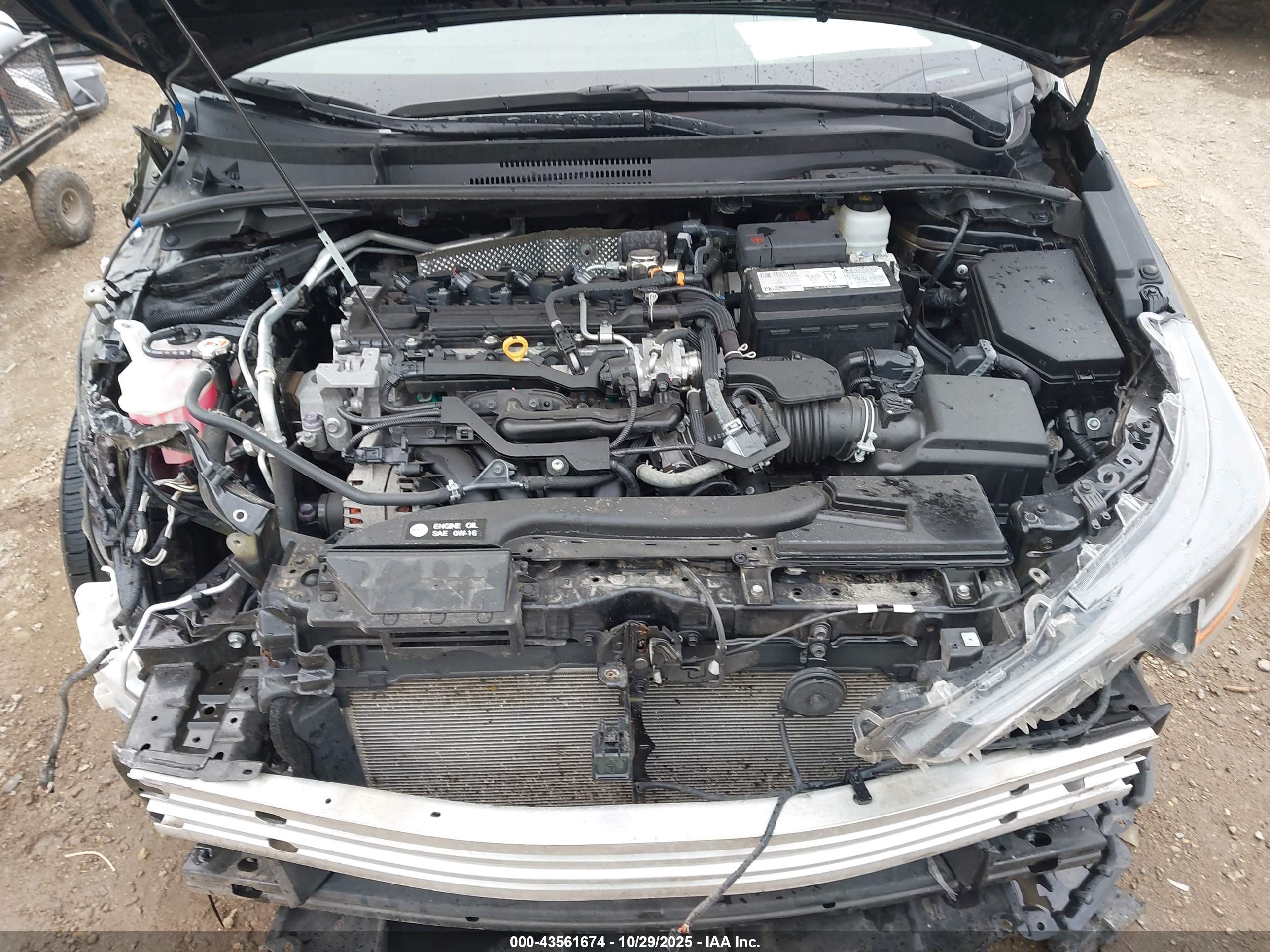 TOYOTA COROLLA image 10