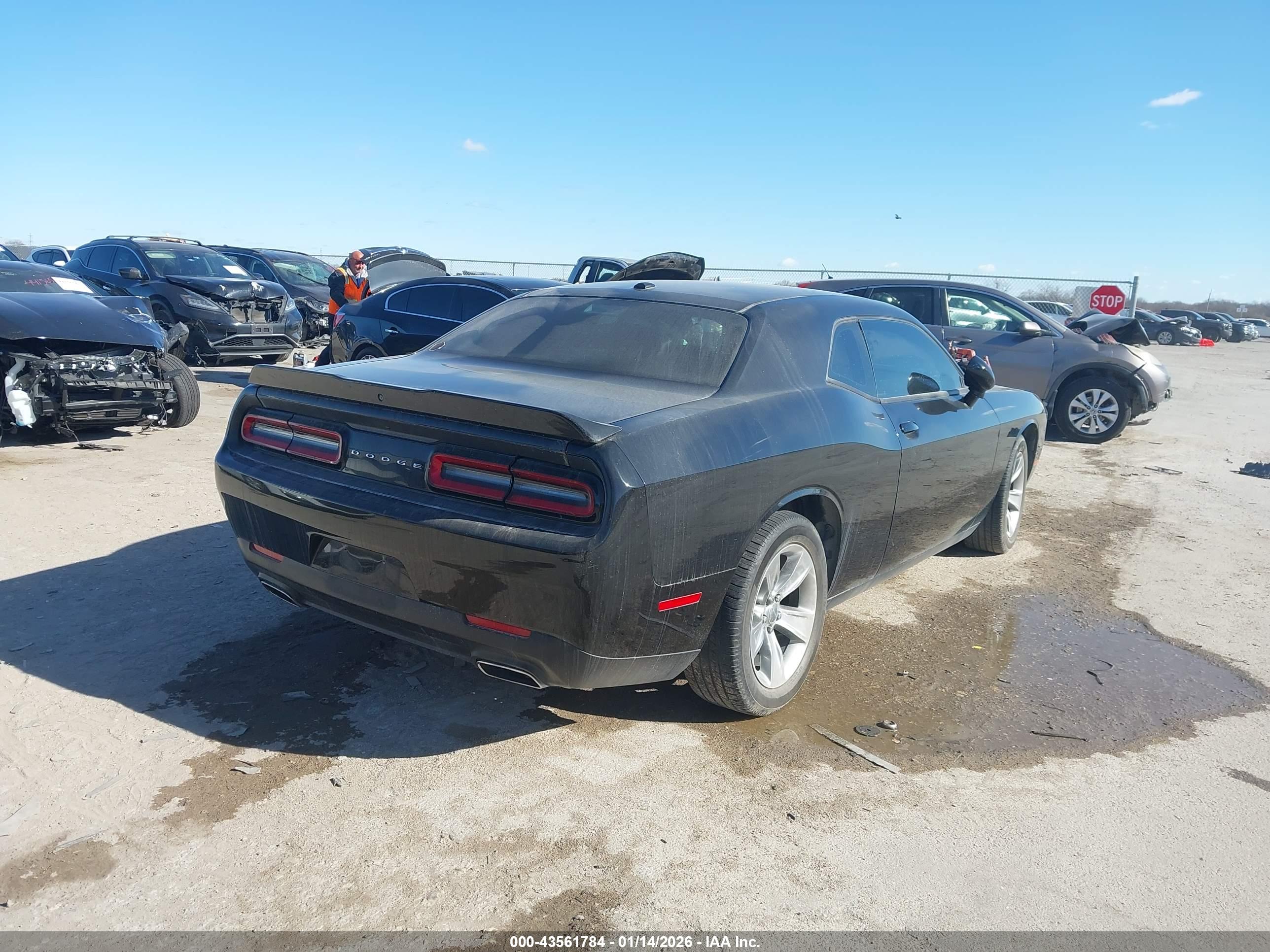 DODGE CHALLENGER image 4