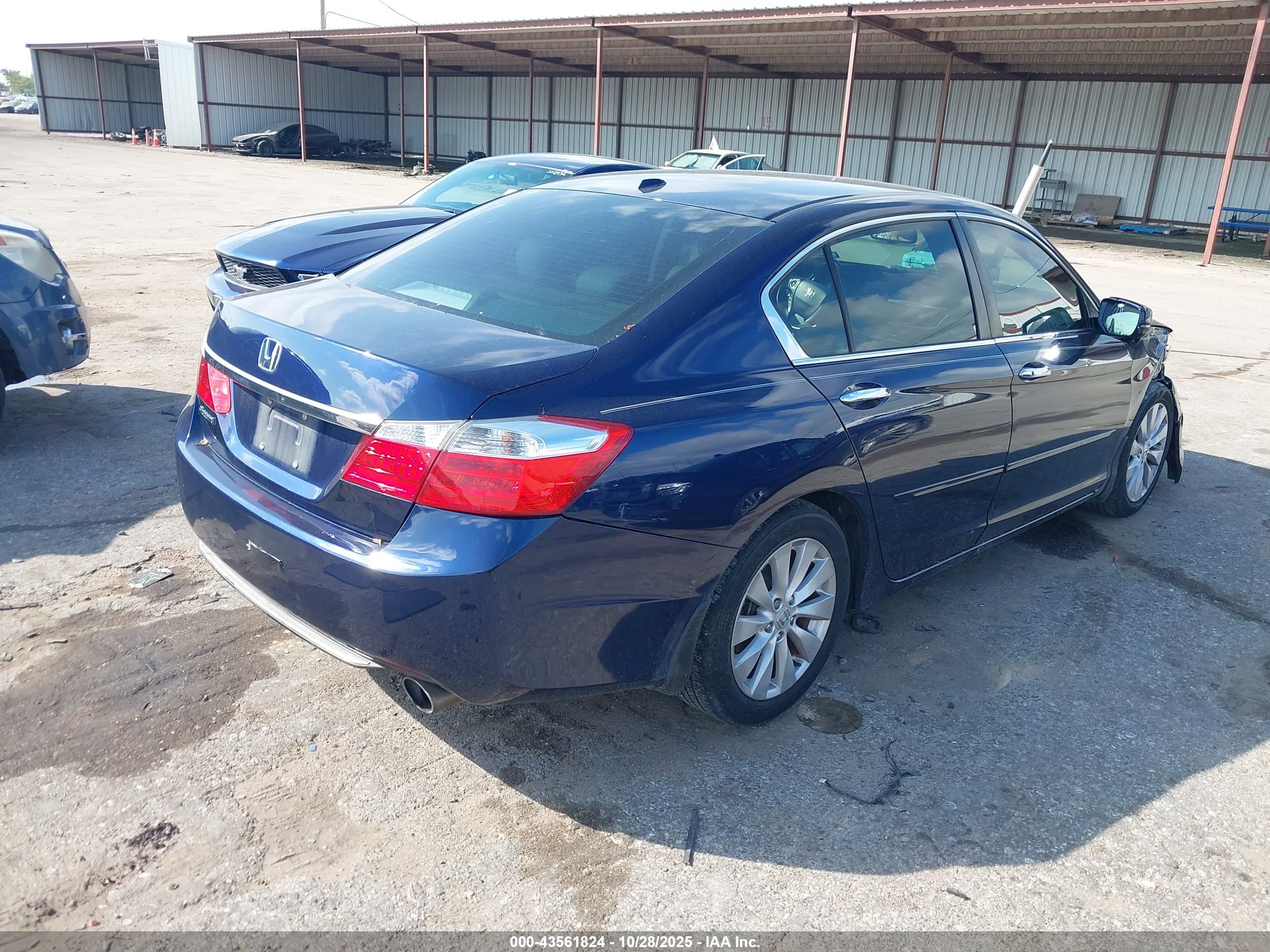 HONDA ACCORD image 4