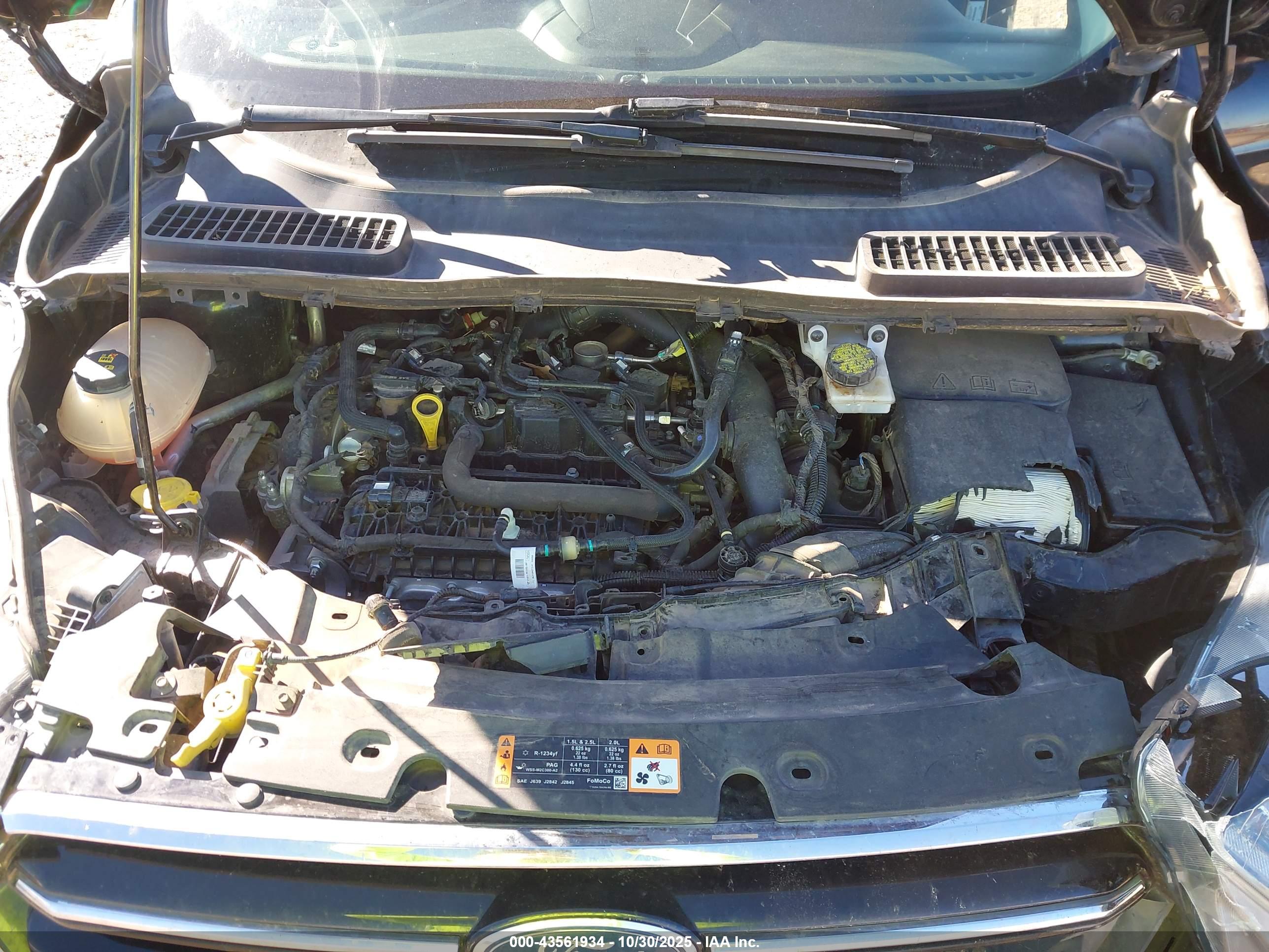 FORD ESCAPE image 10
