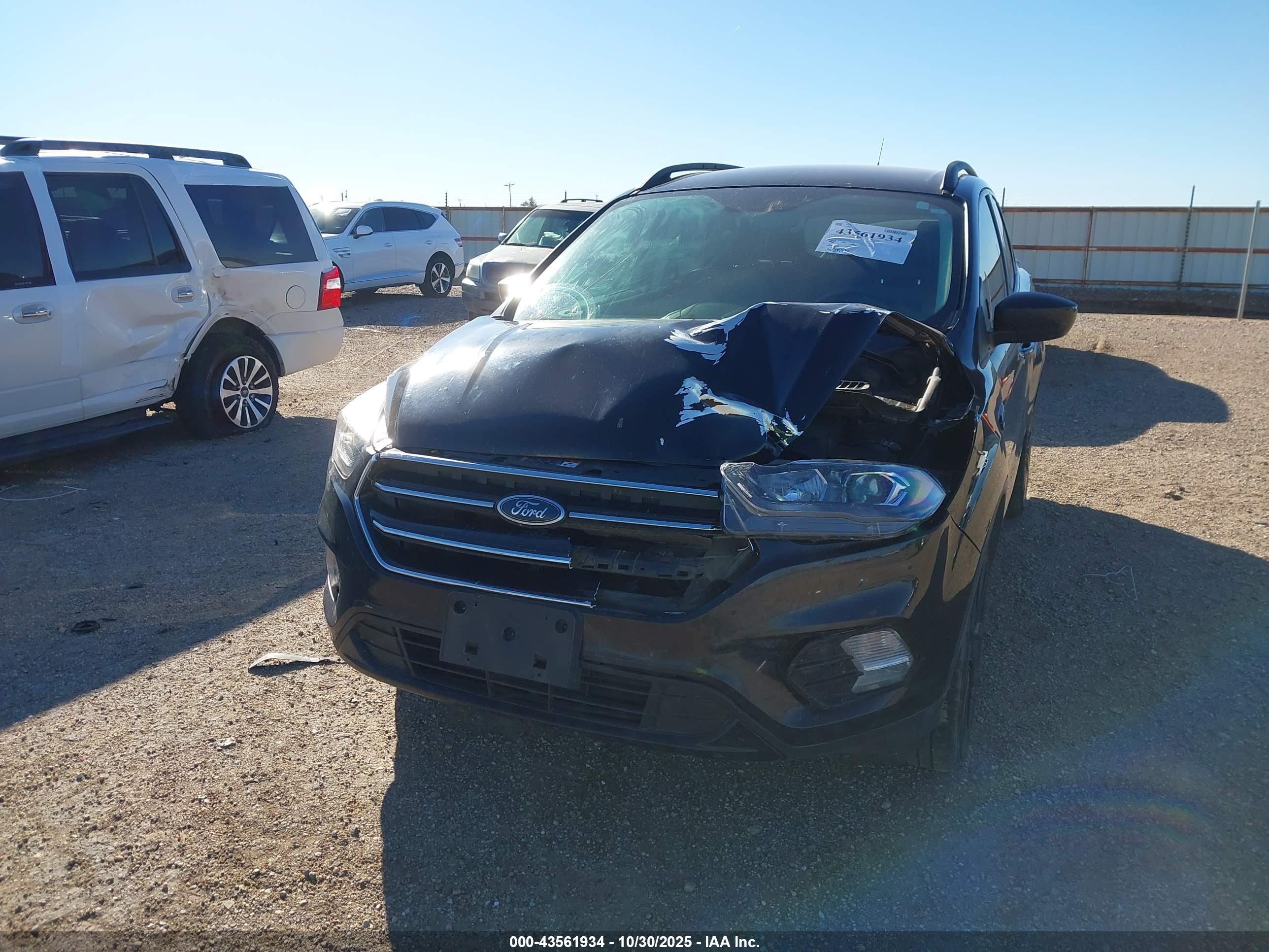 FORD ESCAPE image 6