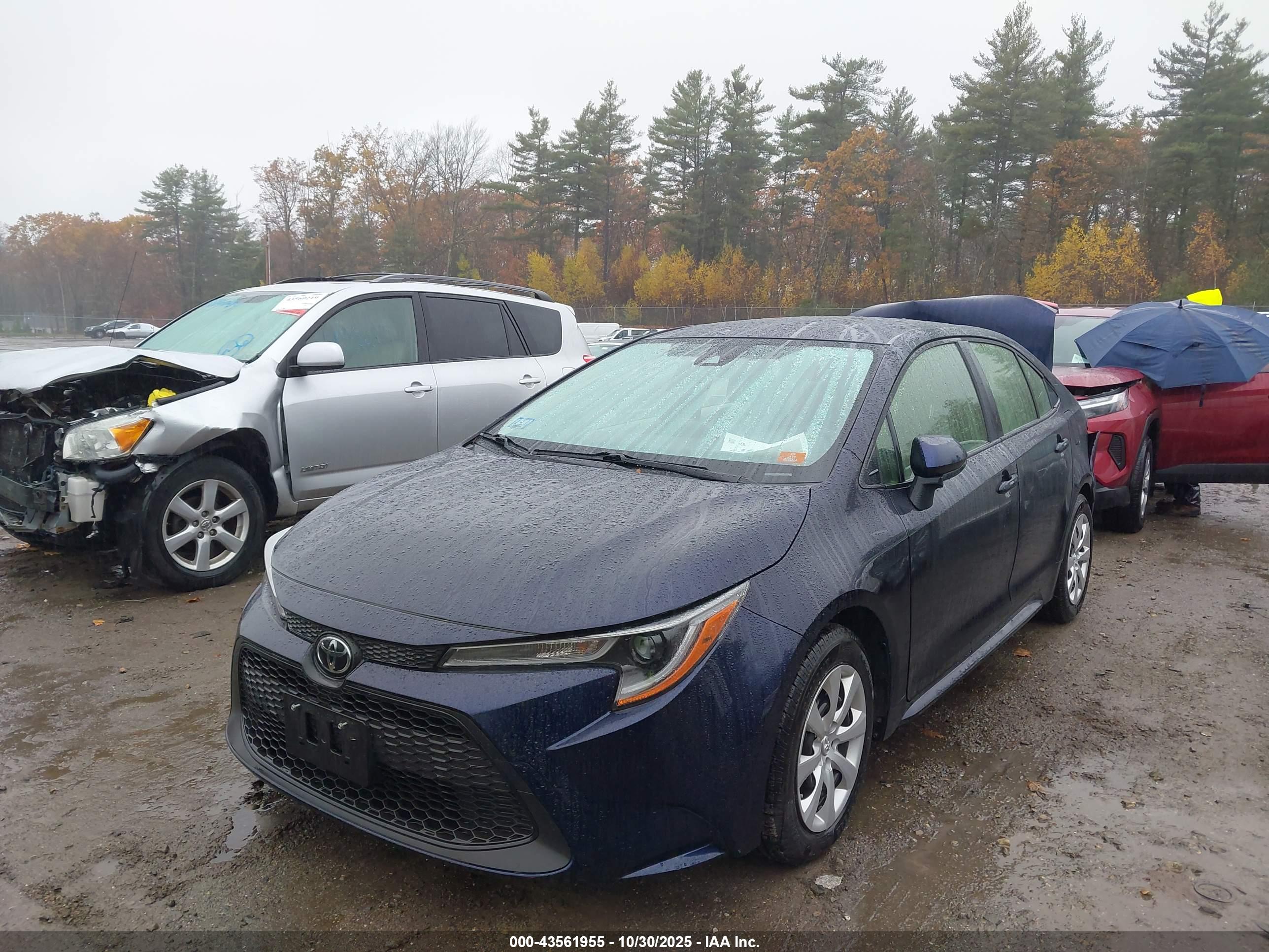 TOYOTA COROLLA image 2