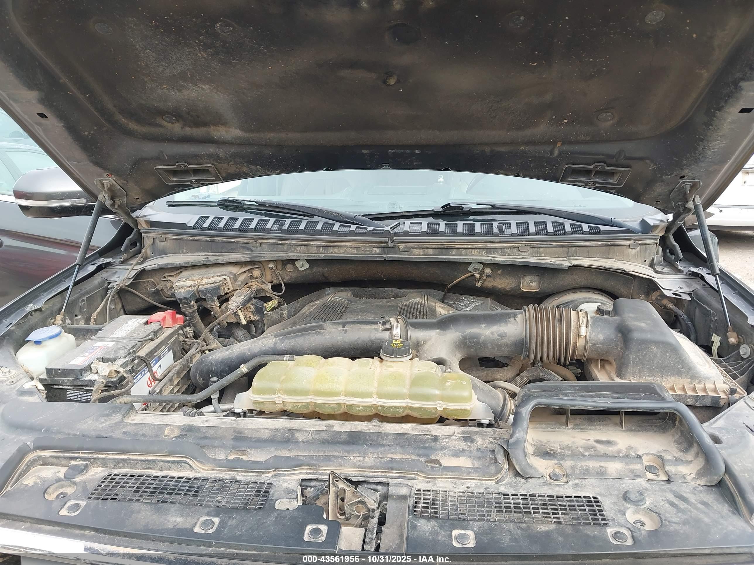 FORD EXPEDITION image 10