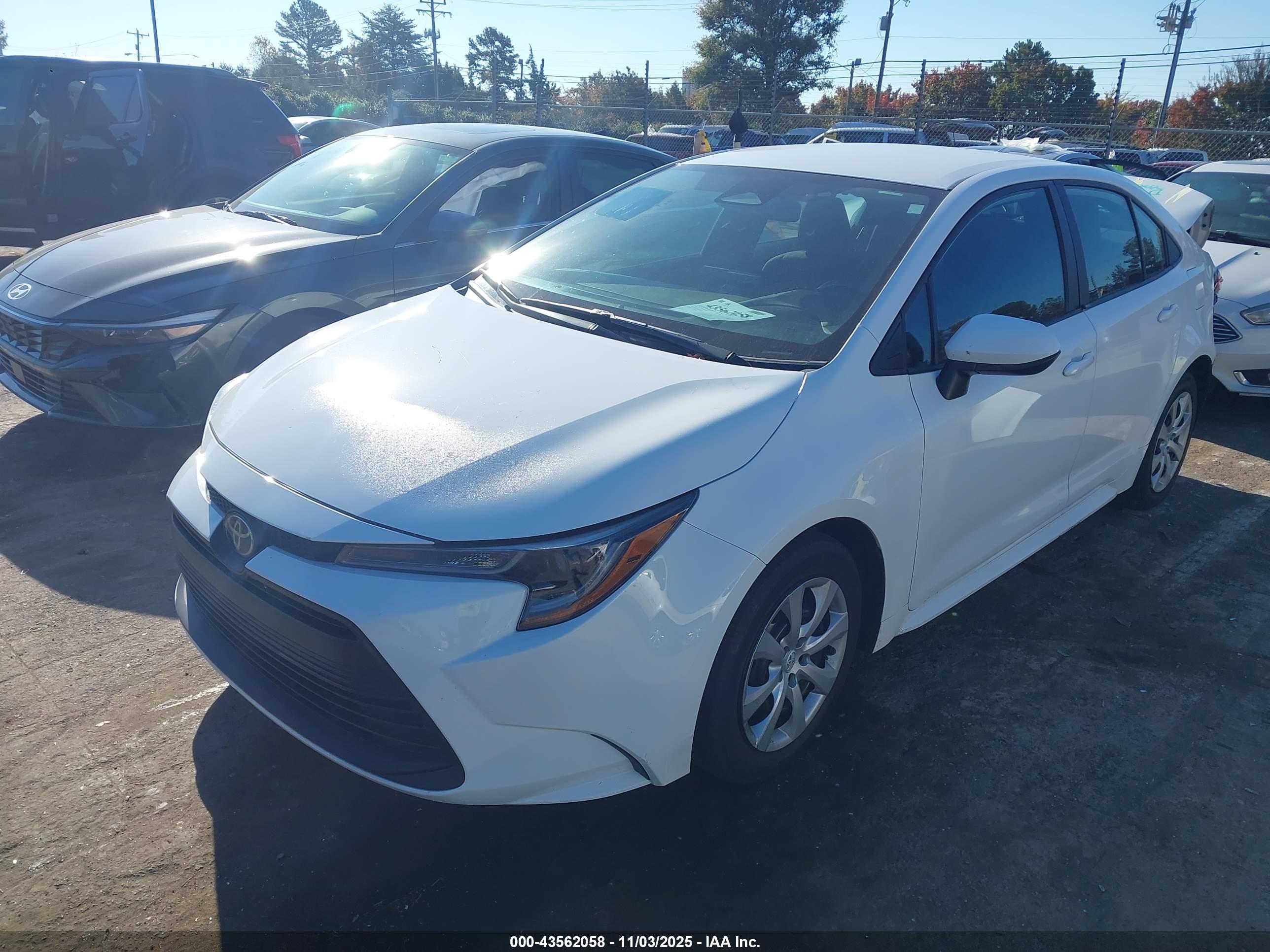 TOYOTA COROLLA image 2