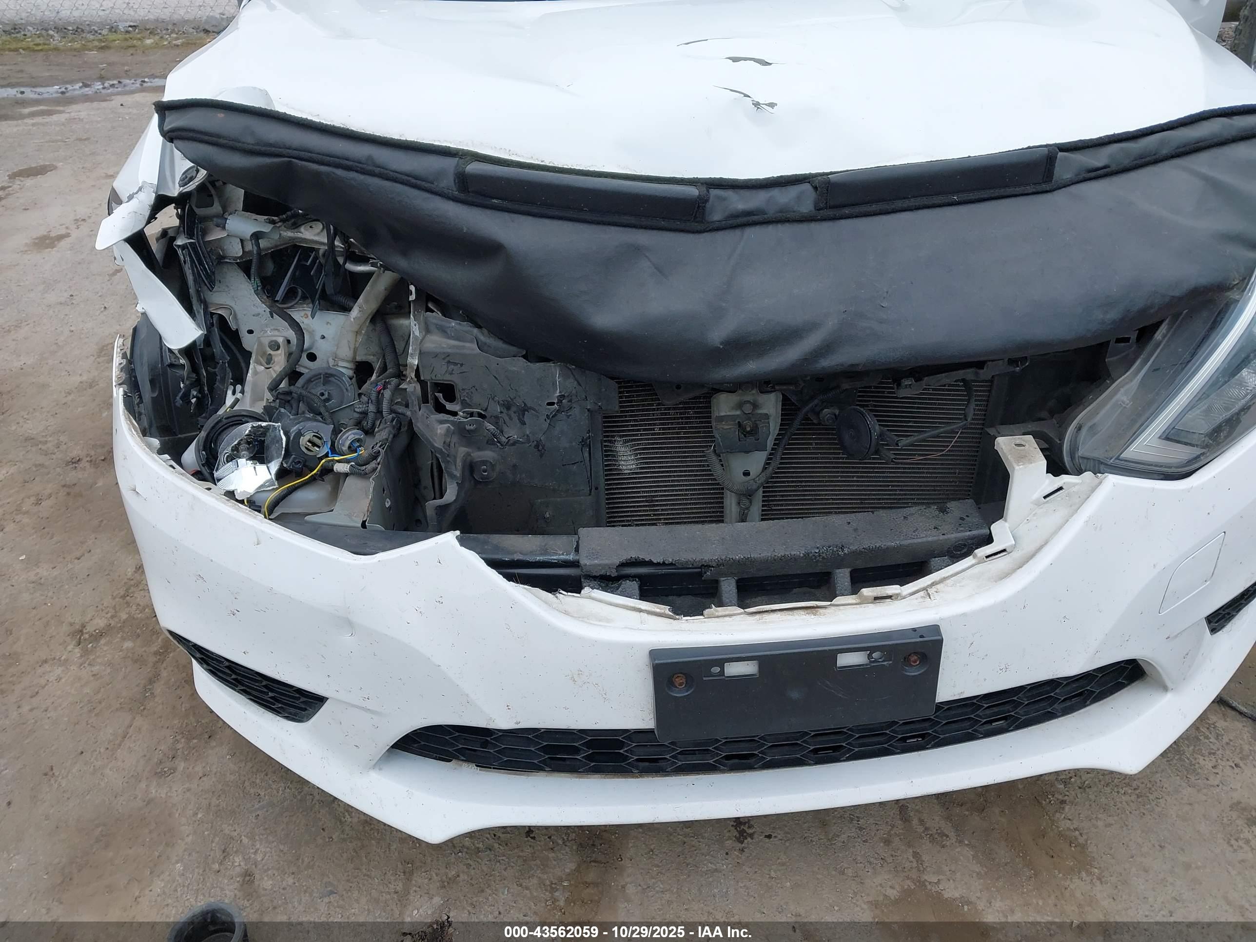 NISSAN SENTRA image 6
