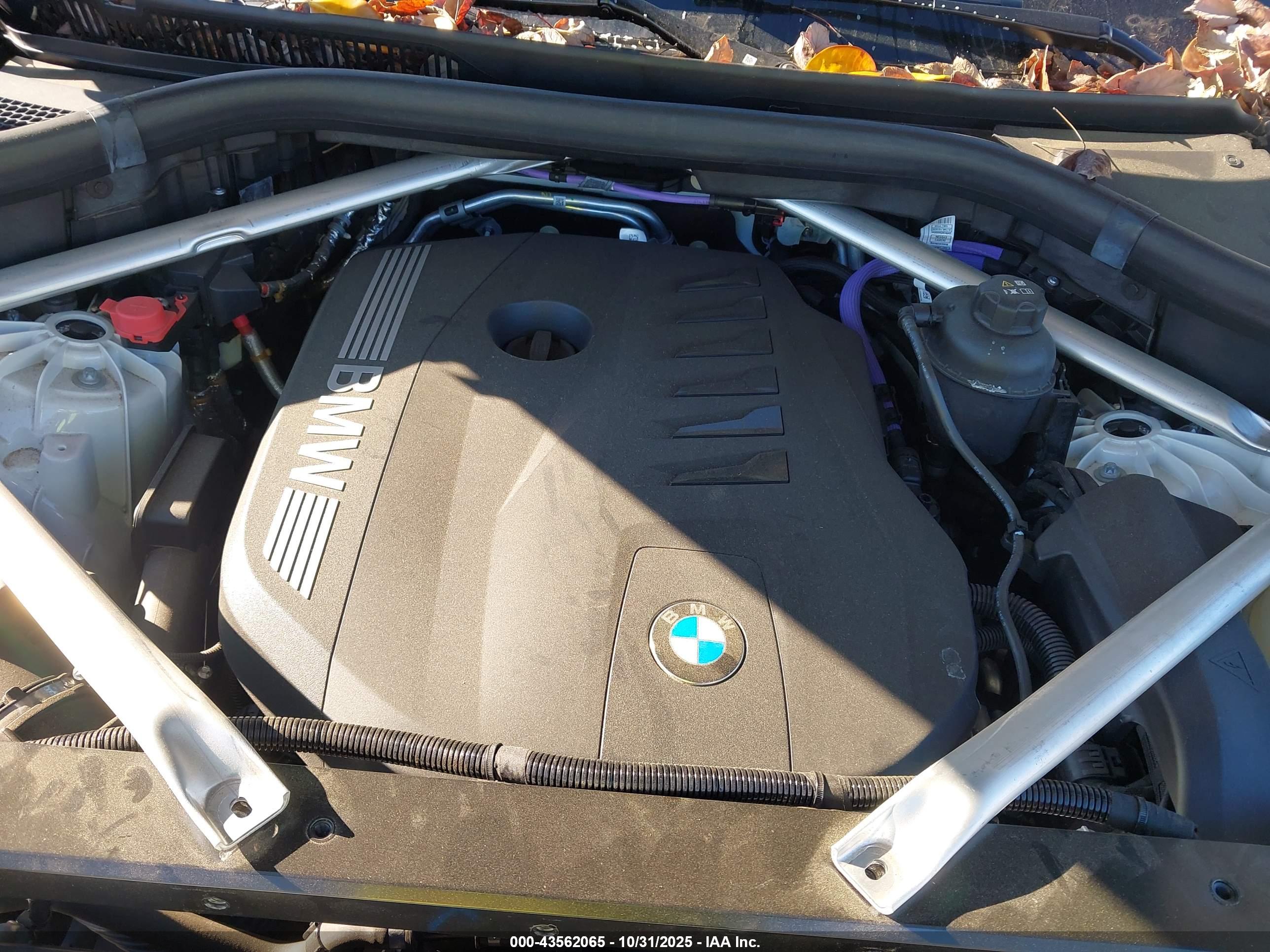 BMW X5 image 10