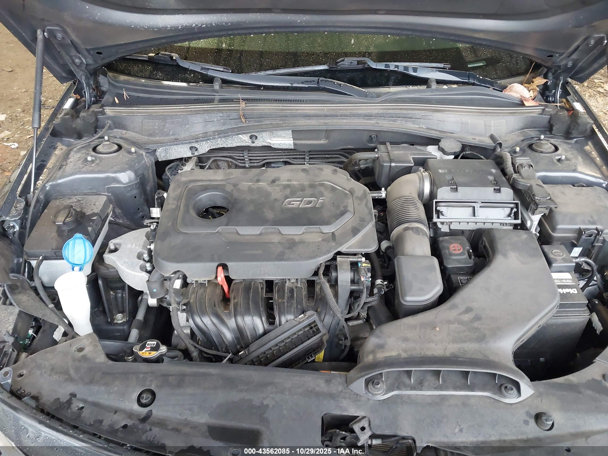 KIA OPTIMA image 10