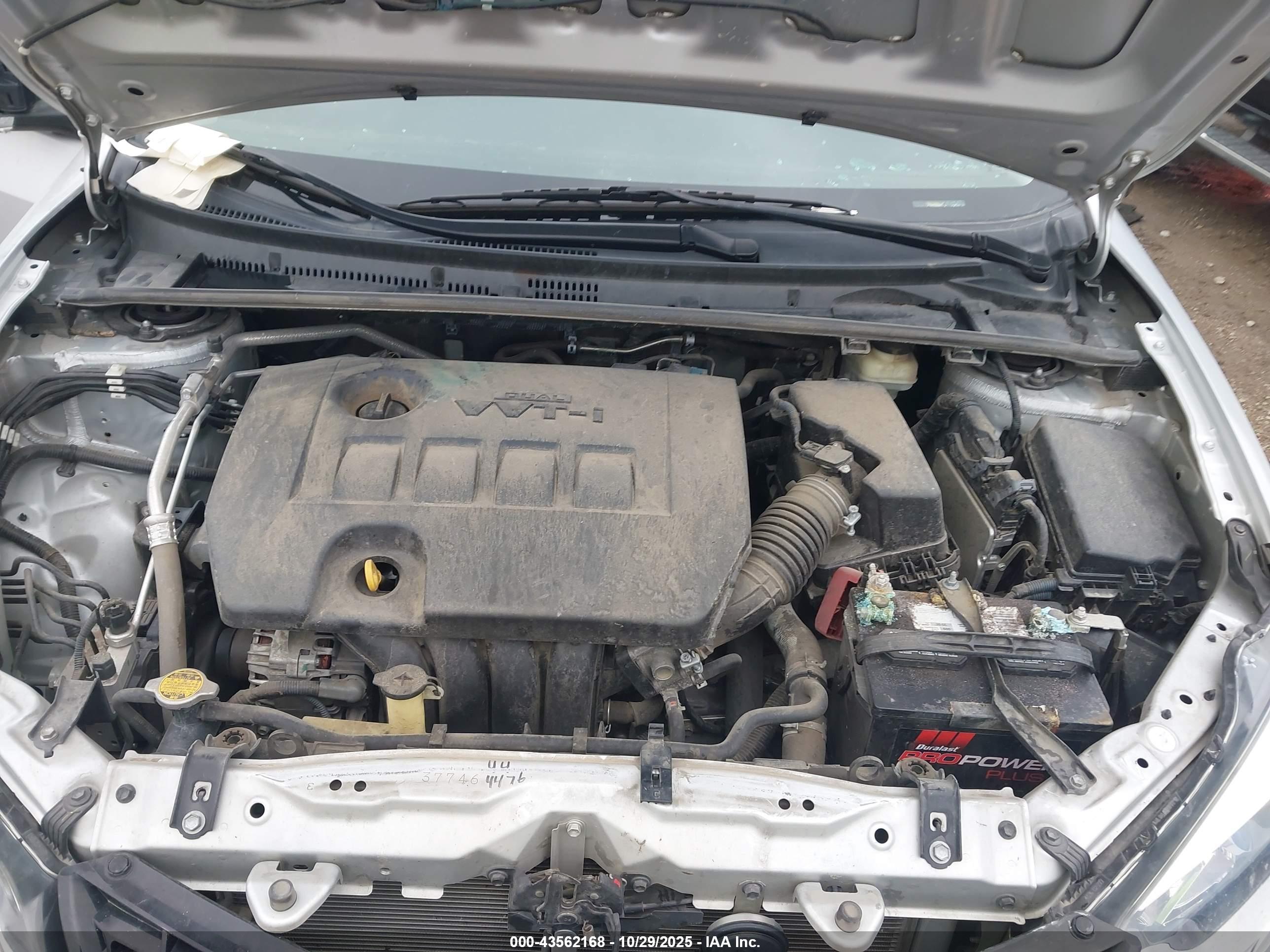 TOYOTA COROLLA image 10