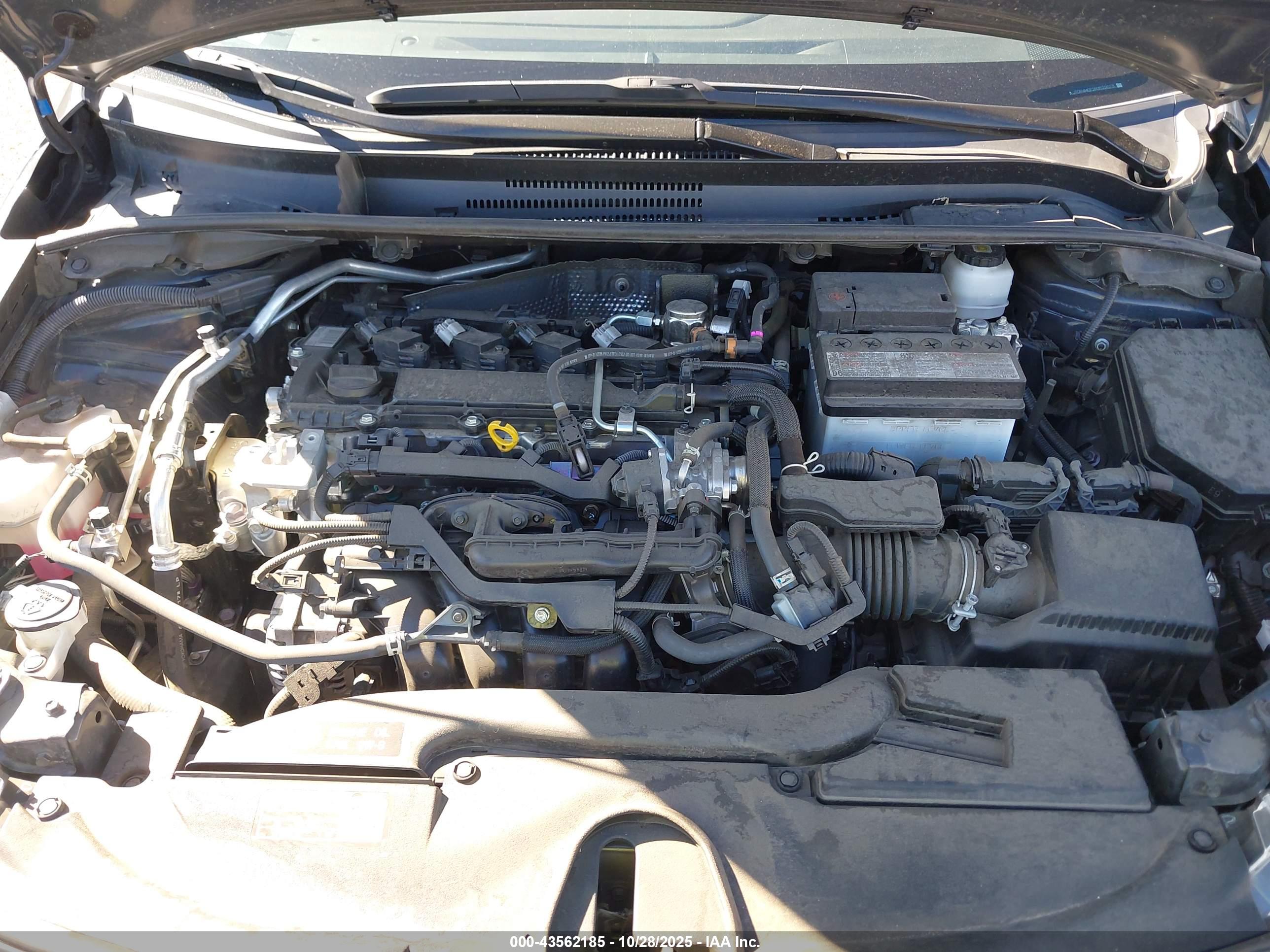 TOYOTA COROLLA image 10