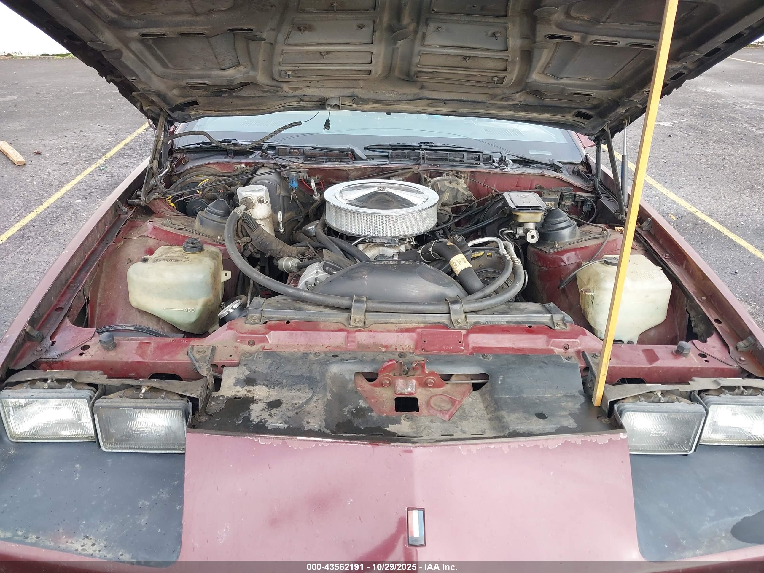 CHEVROLET CAMARO image 10