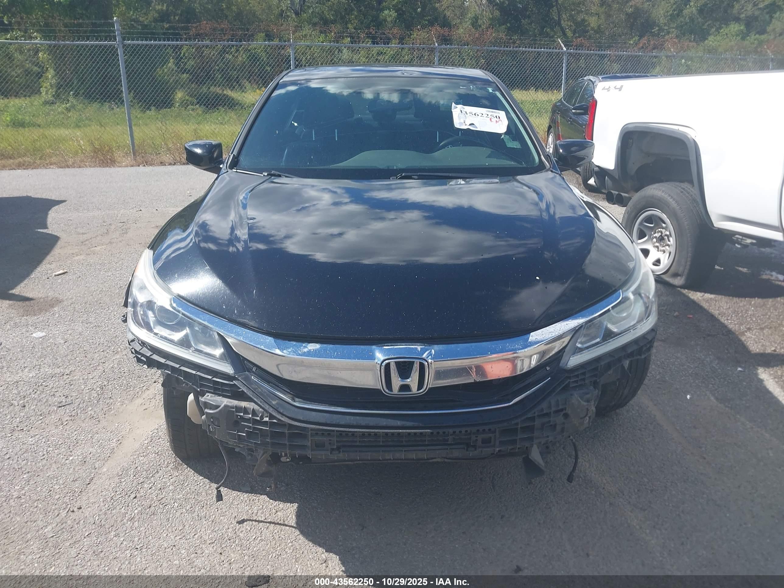 HONDA ACCORD image 6