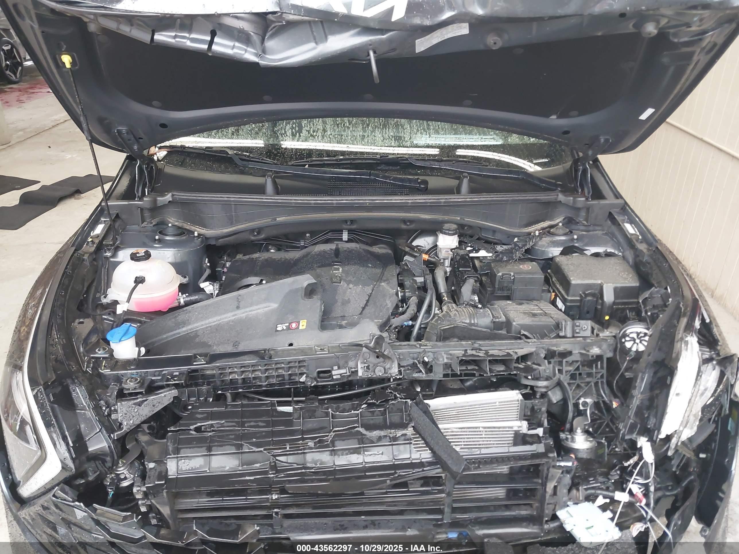 KIA SPORTAGE image 10