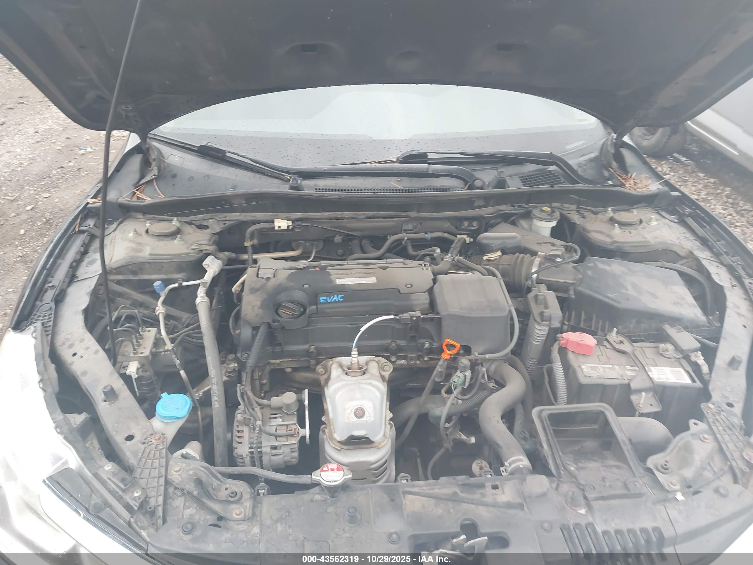 HONDA ACCORD image 10