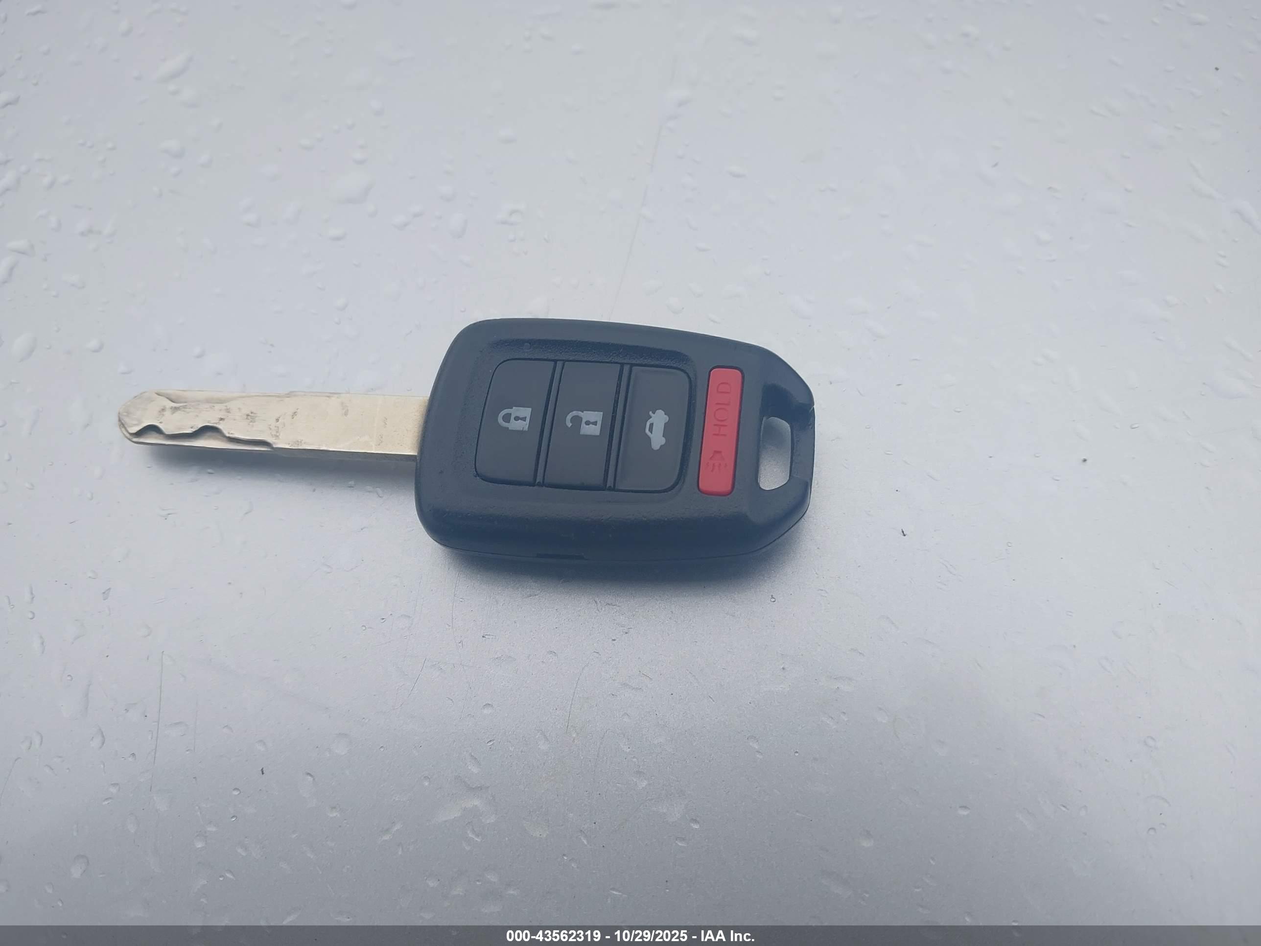 HONDA ACCORD image 11
