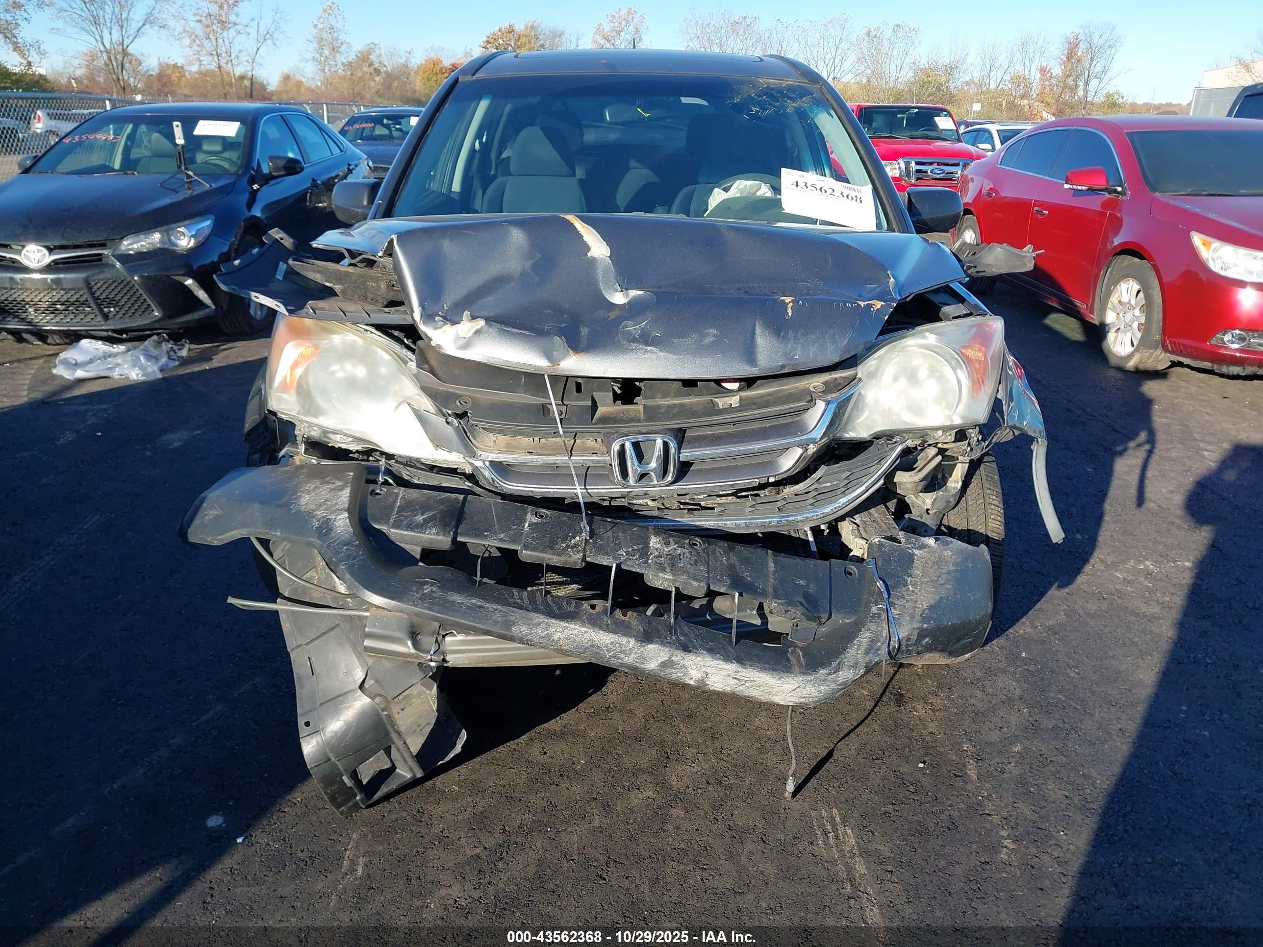 HONDA CR-V image 6