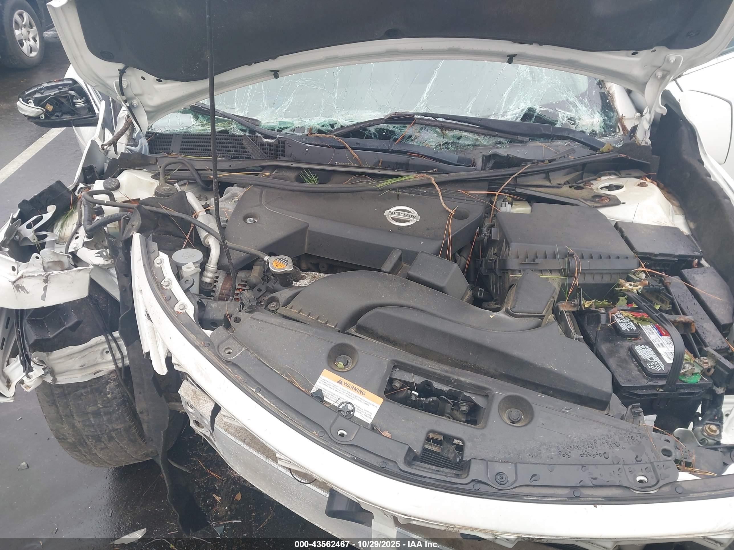 NISSAN ALTIMA image 10