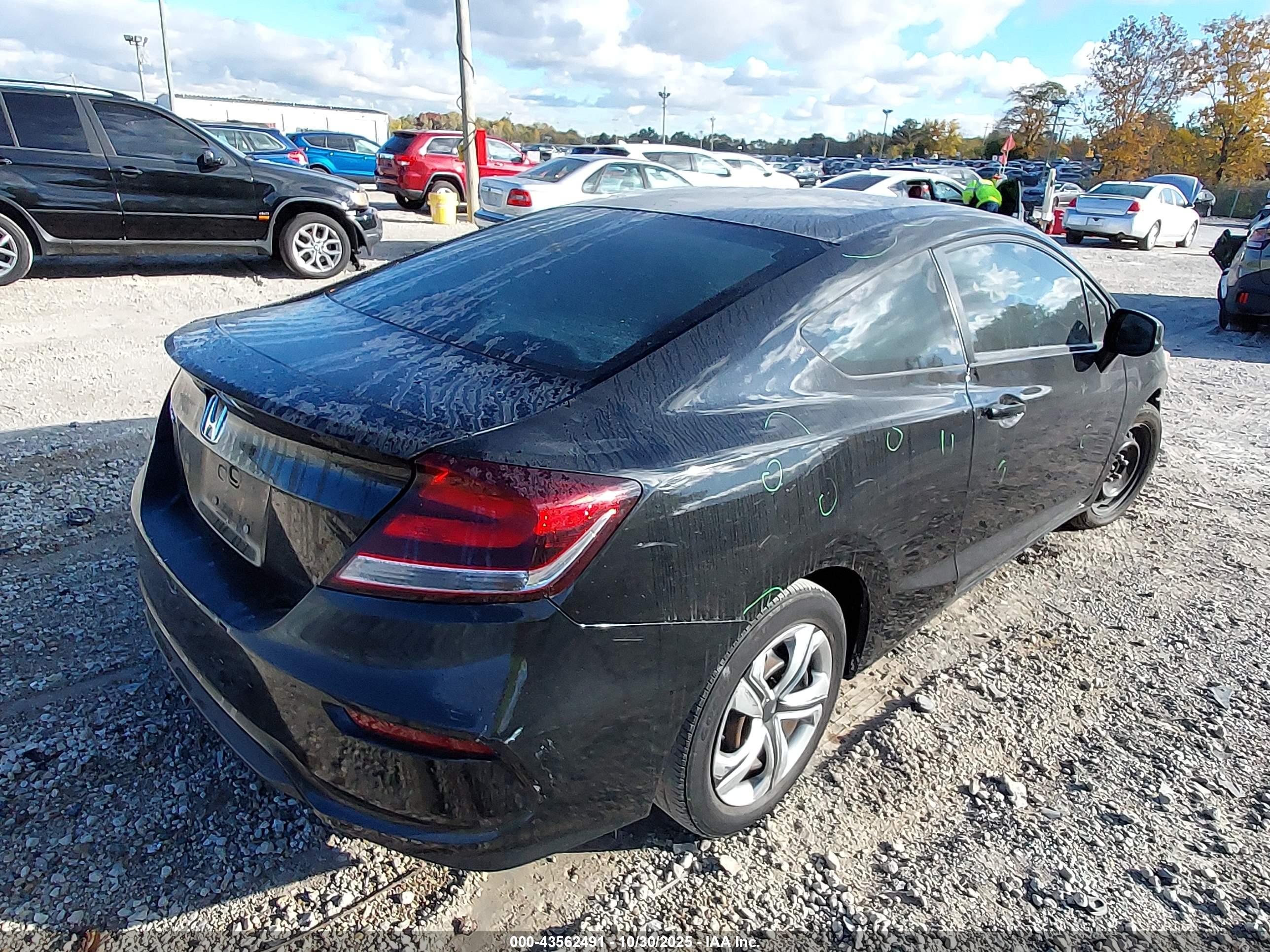 HONDA CIVIC image 4