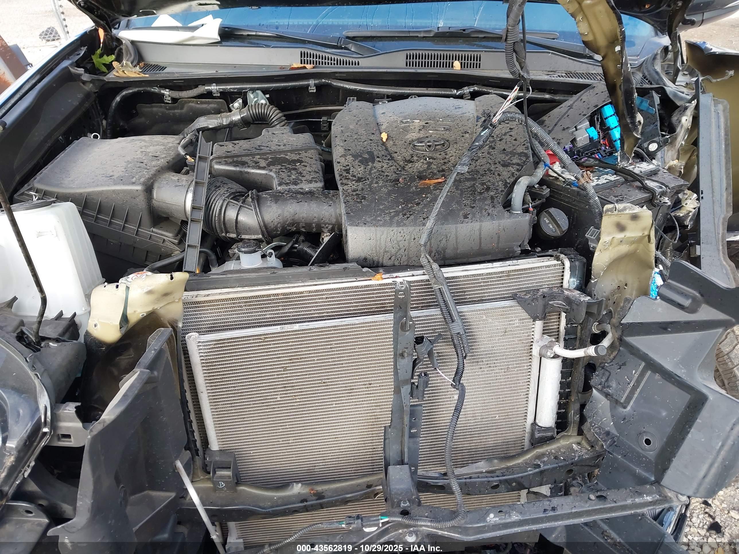 TOYOTA TACOMA image 10