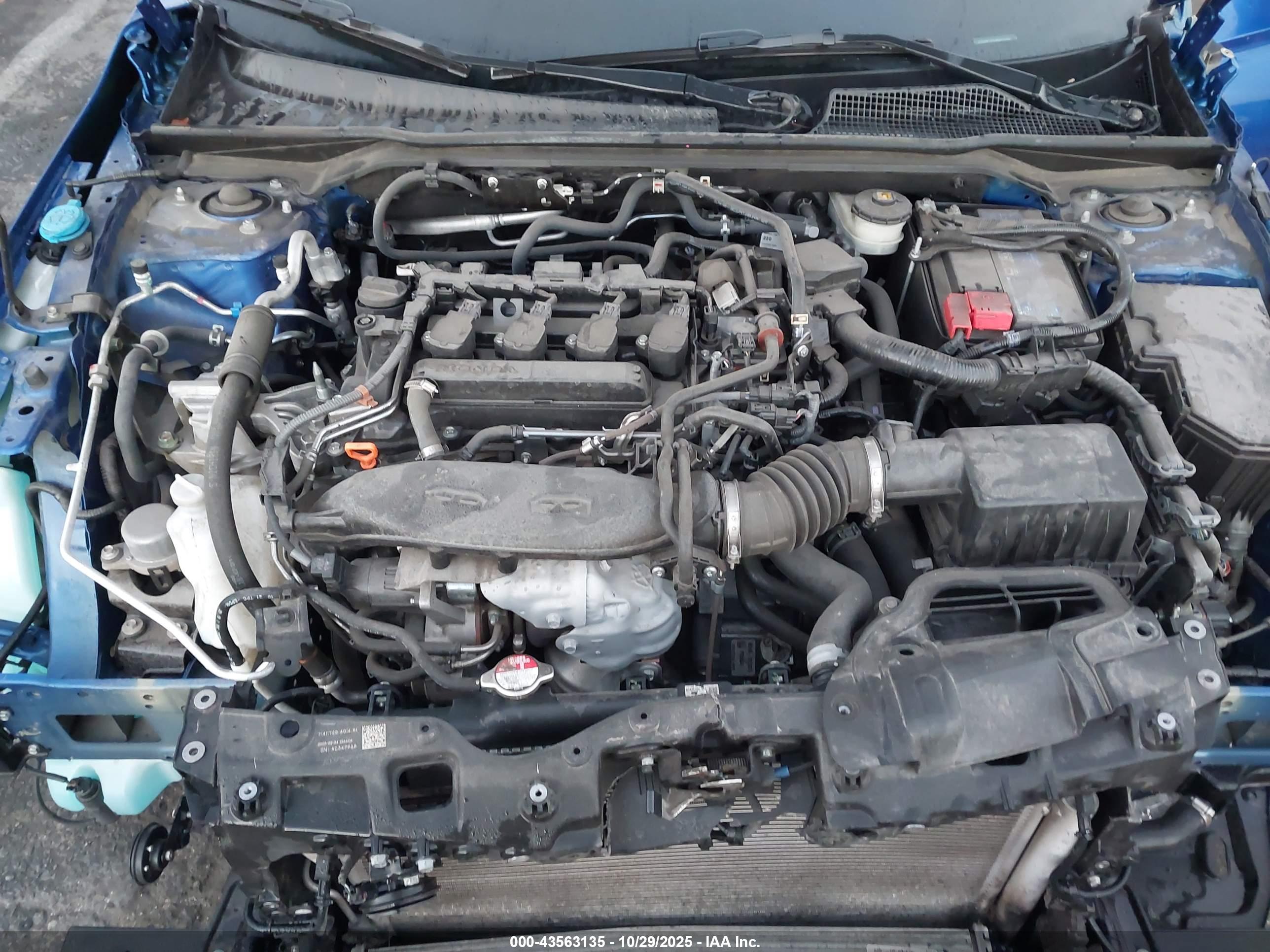 HONDA CIVIC image 10