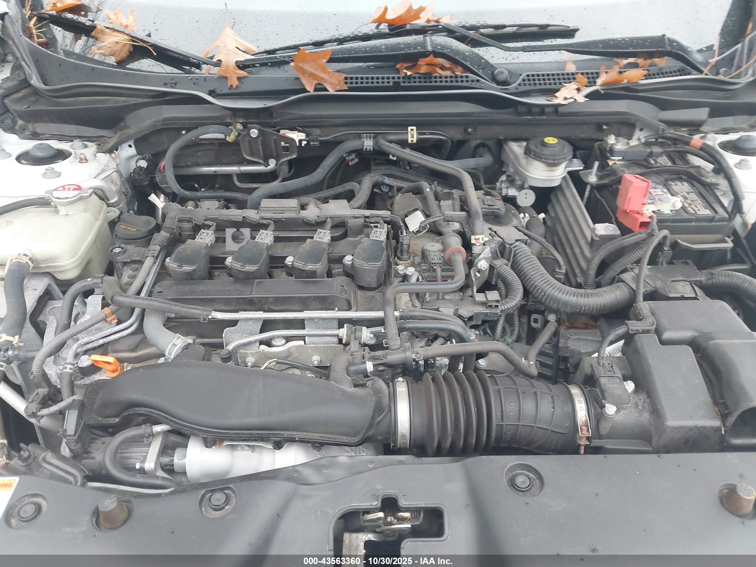 HONDA CIVIC image 10
