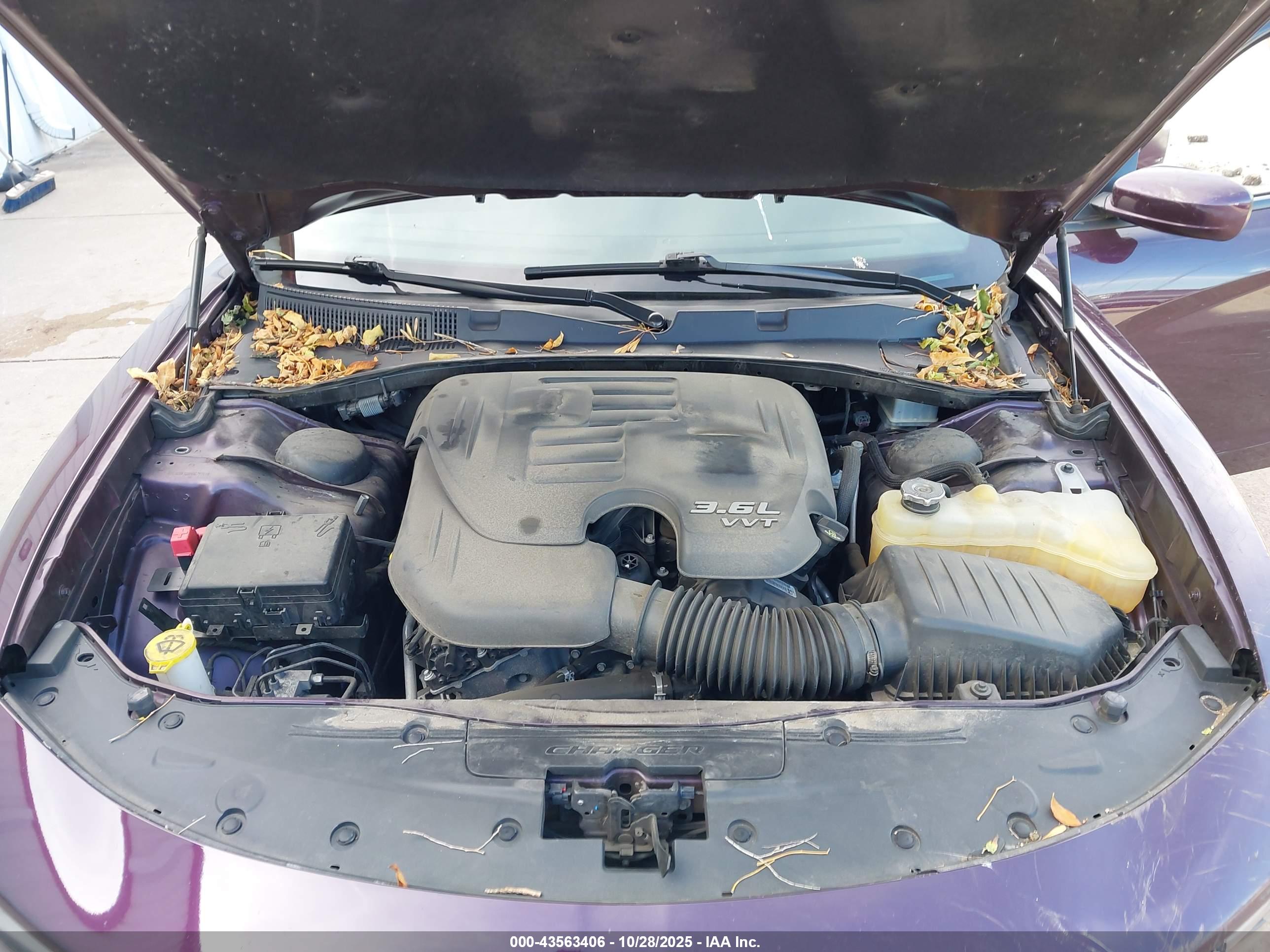 DODGE CHARGER image 10