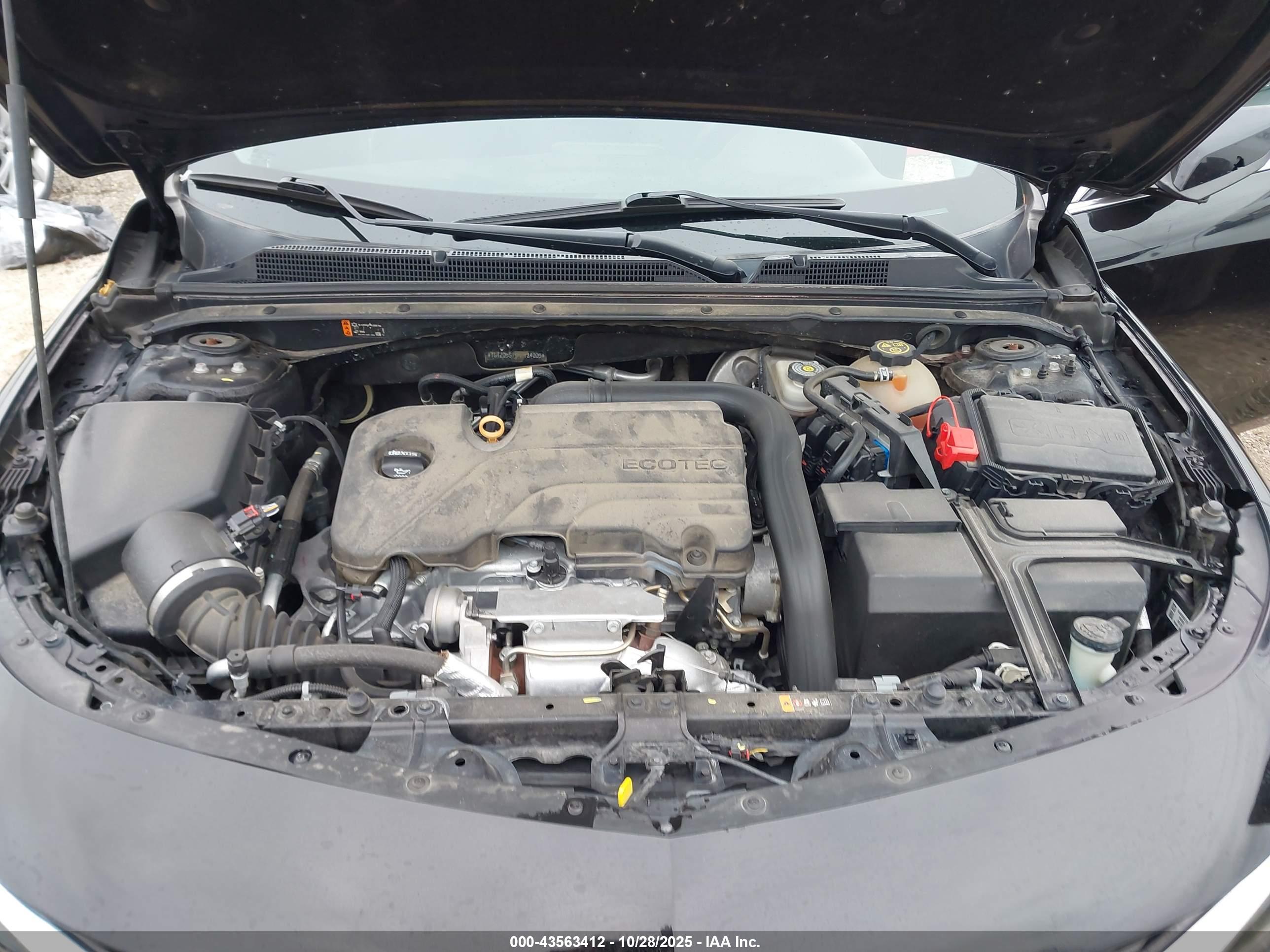 CHEVROLET MALIBU image 10