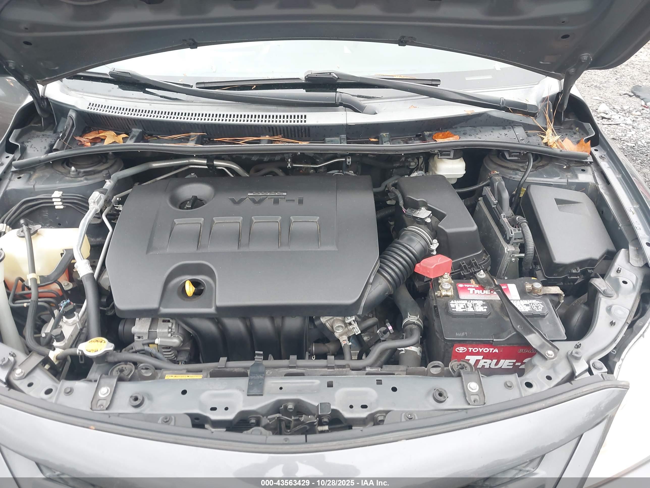 TOYOTA COROLLA image 10