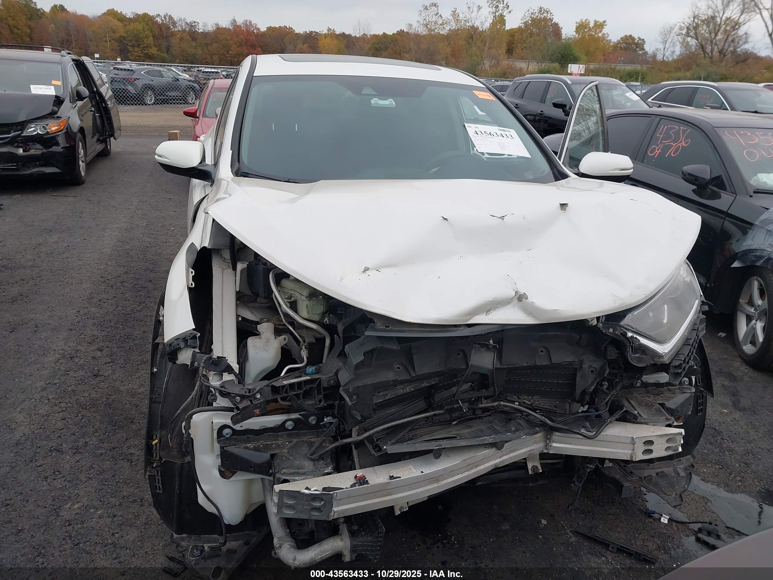HONDA CR-V image 6