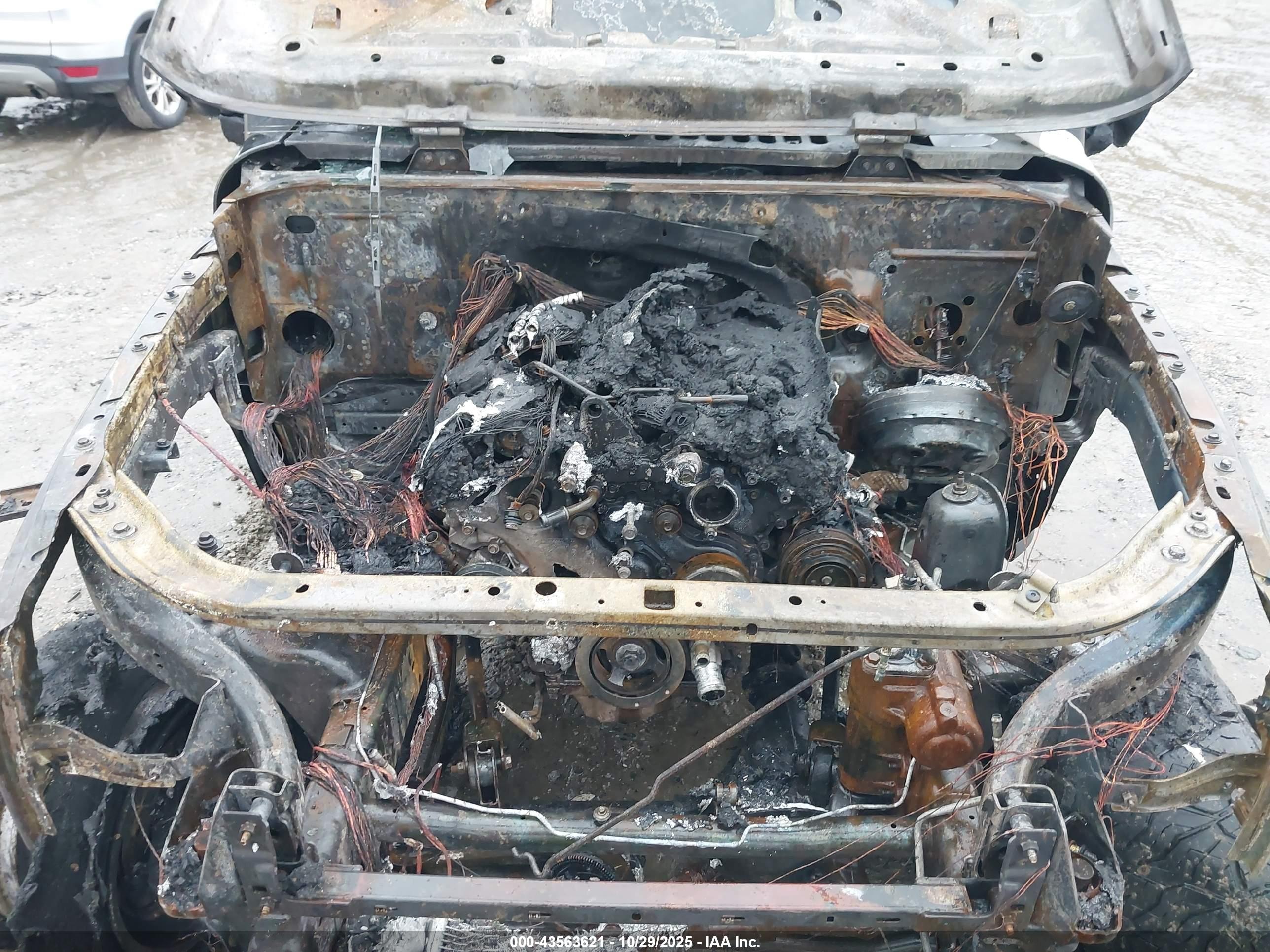JEEP WRANGLER image 10