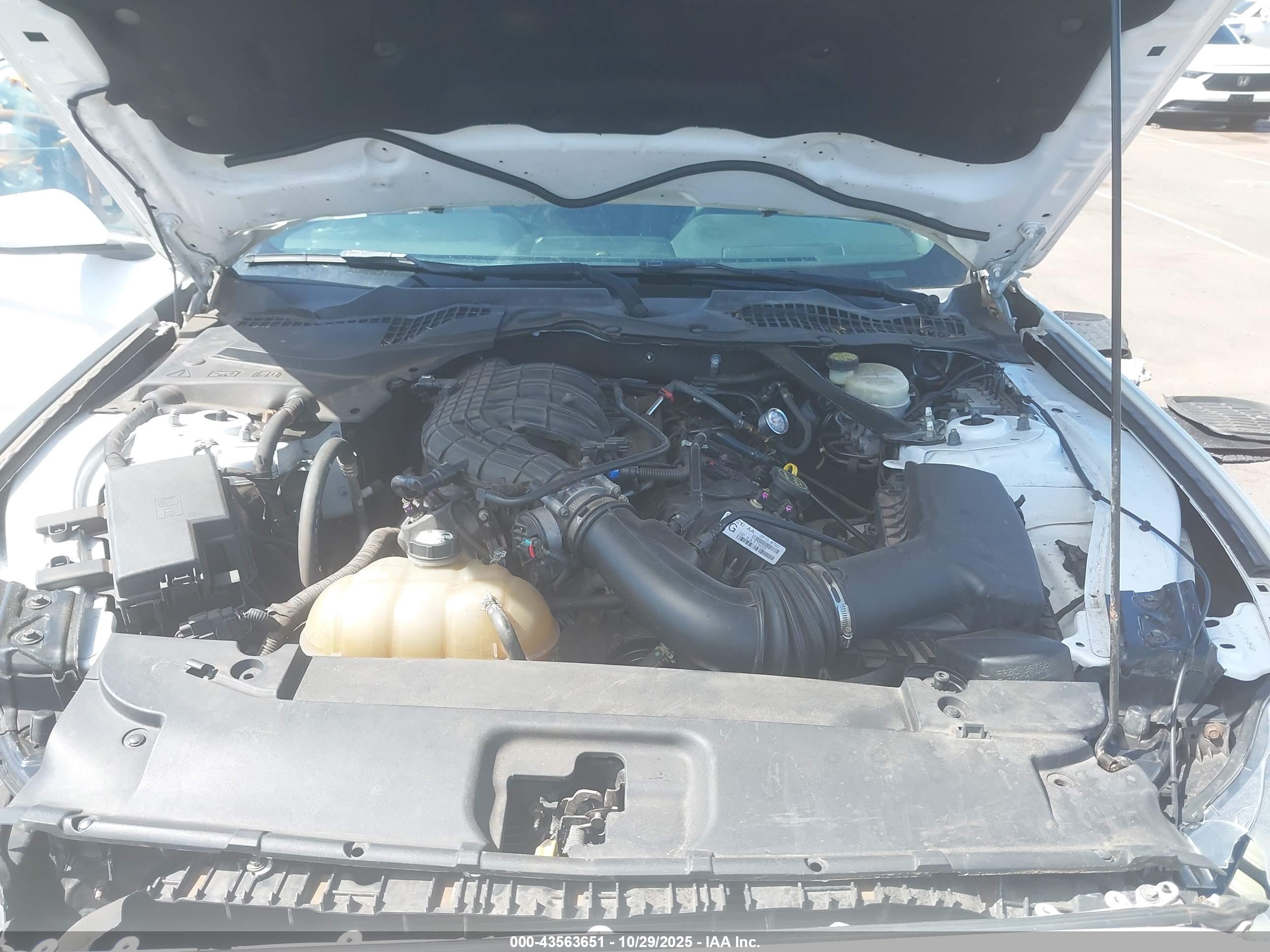 FORD MUSTANG image 10