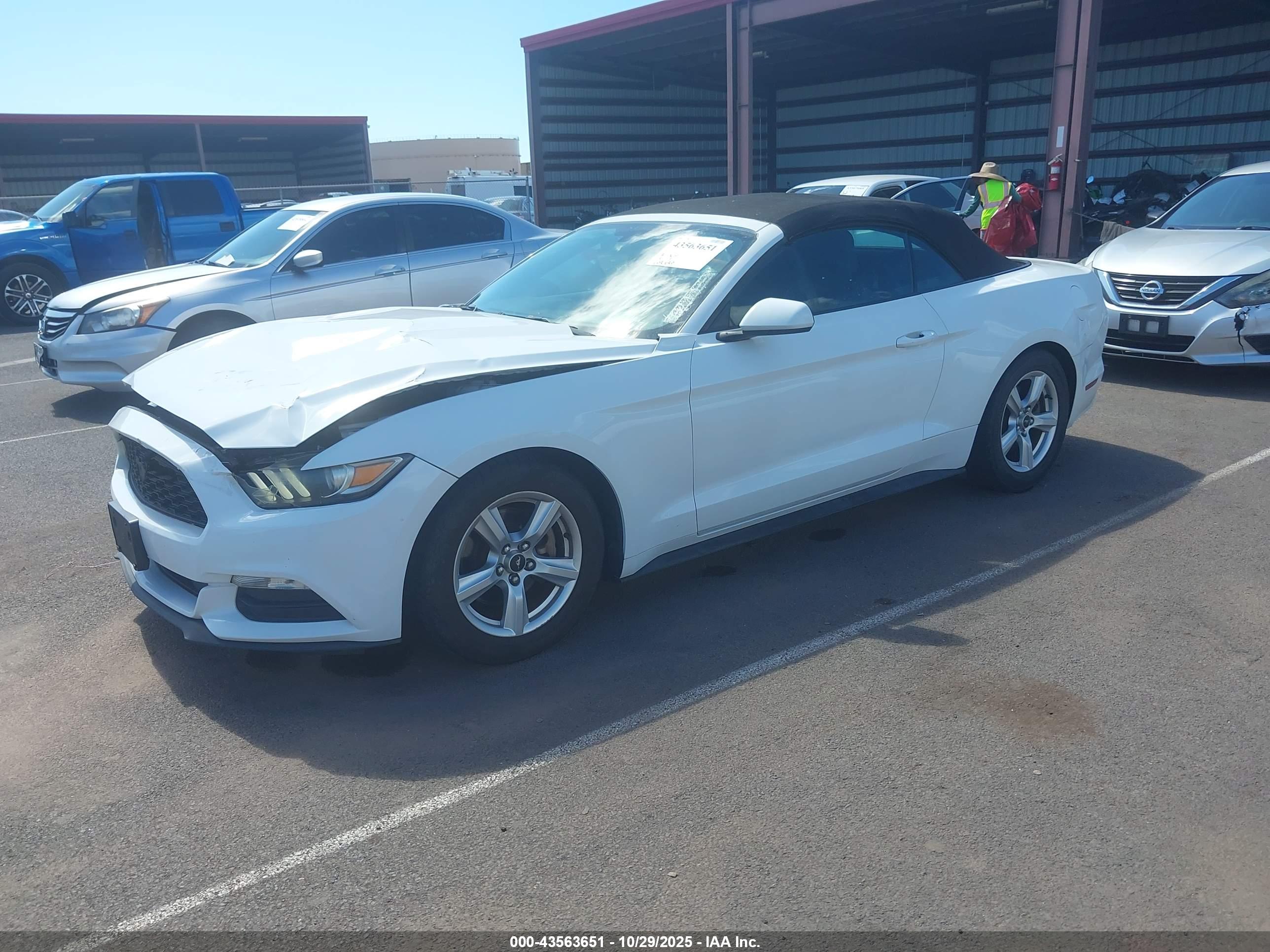FORD MUSTANG image 2