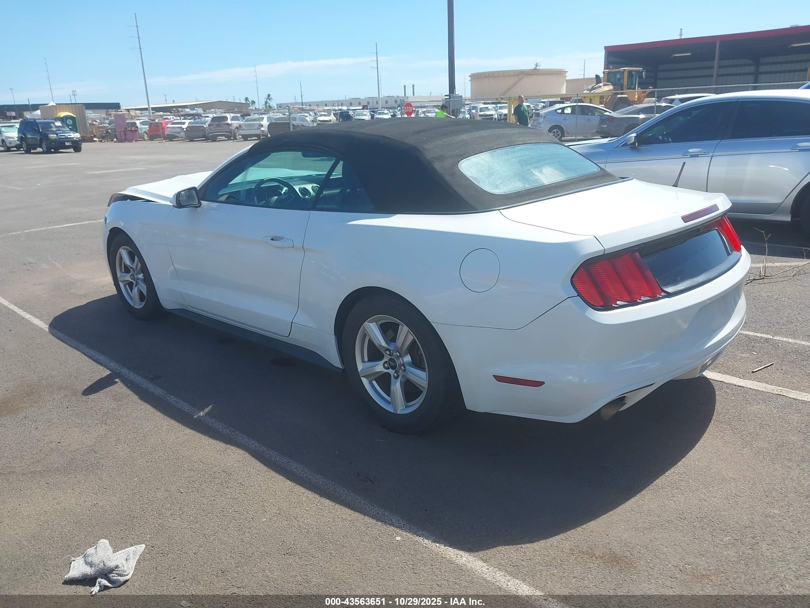 FORD MUSTANG image 3