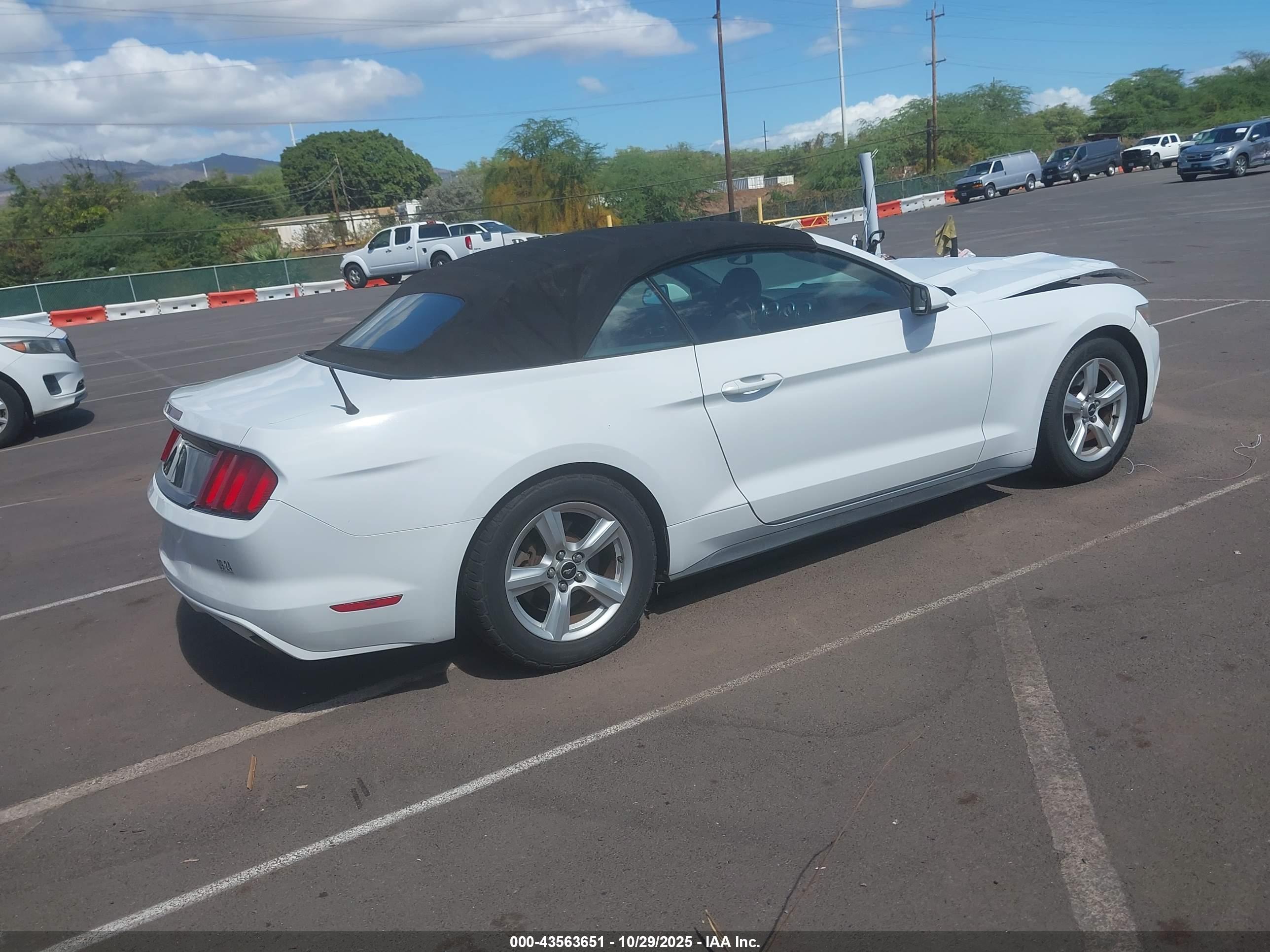 FORD MUSTANG image 4