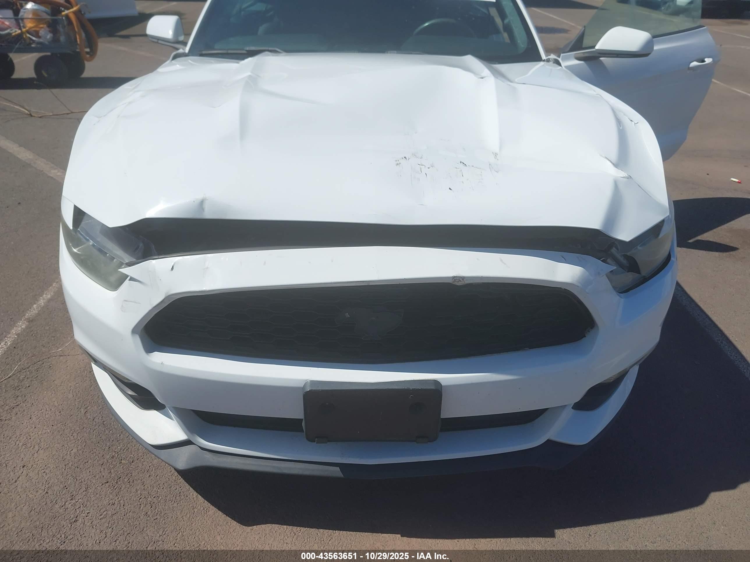 FORD MUSTANG image 6
