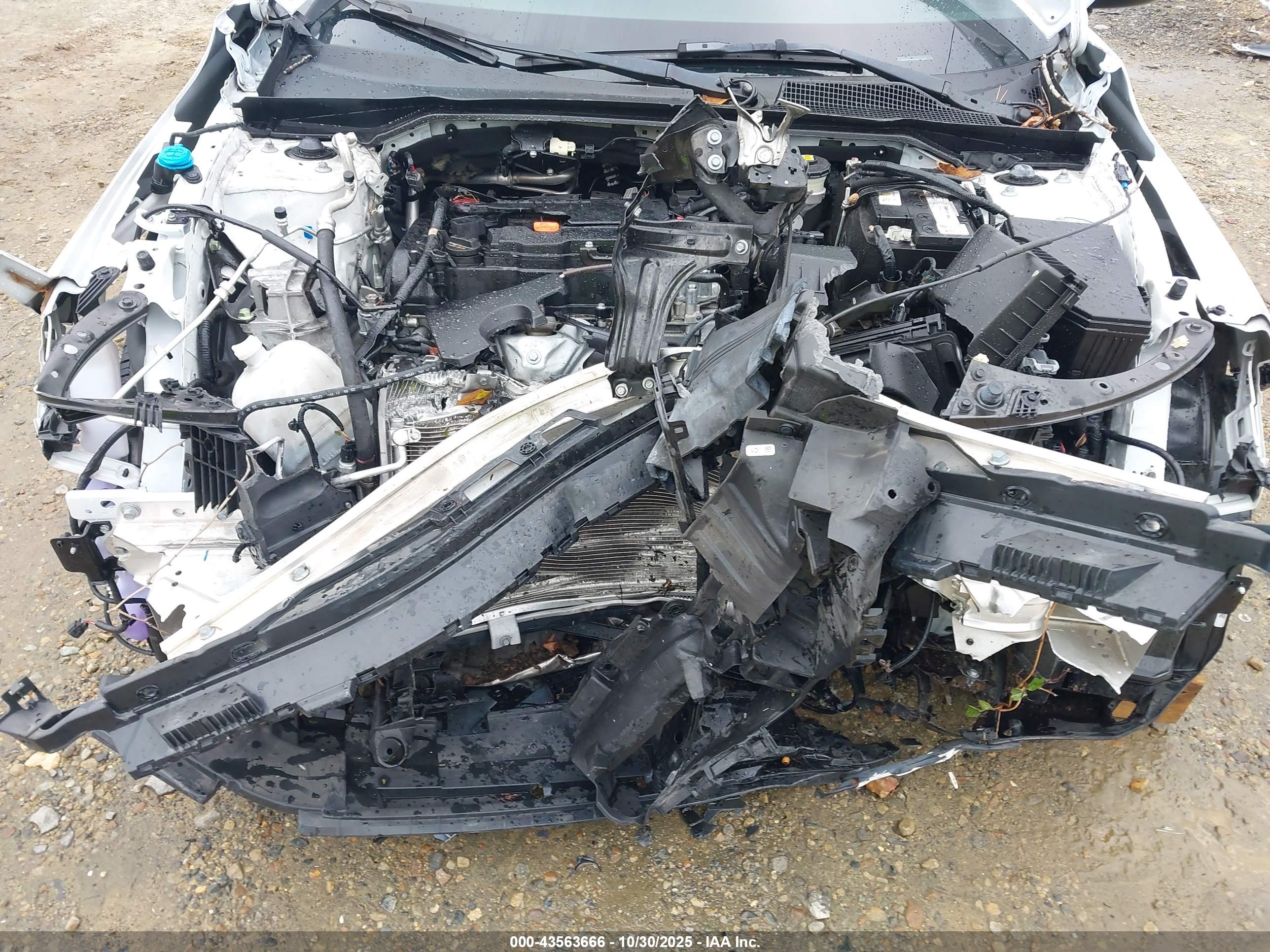 HONDA CIVIC image 10