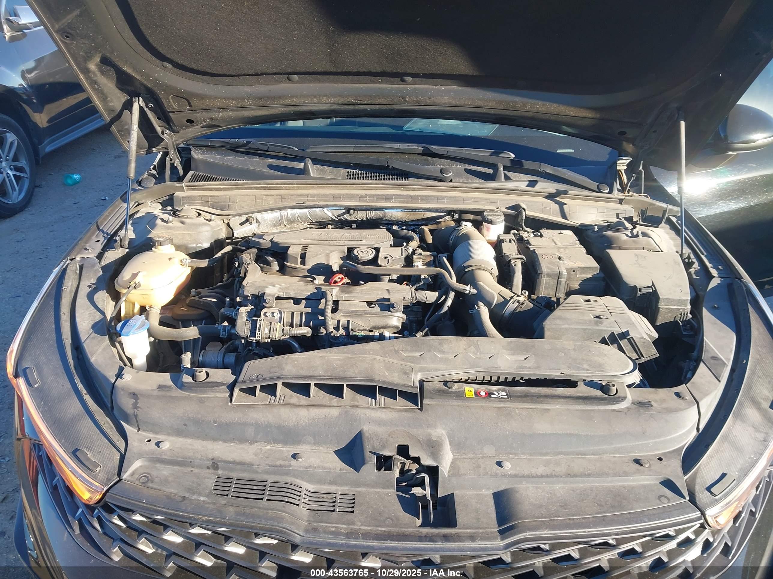 KIA K5 image 10