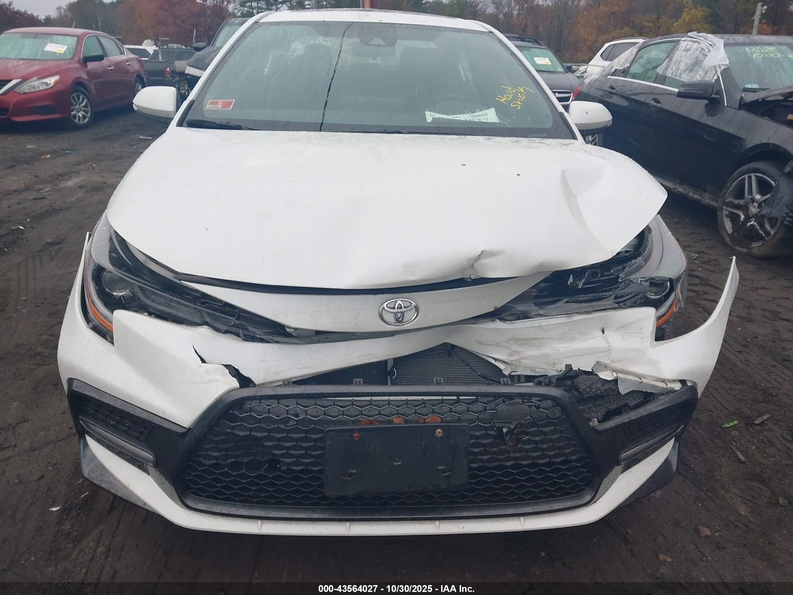 TOYOTA COROLLA image 6