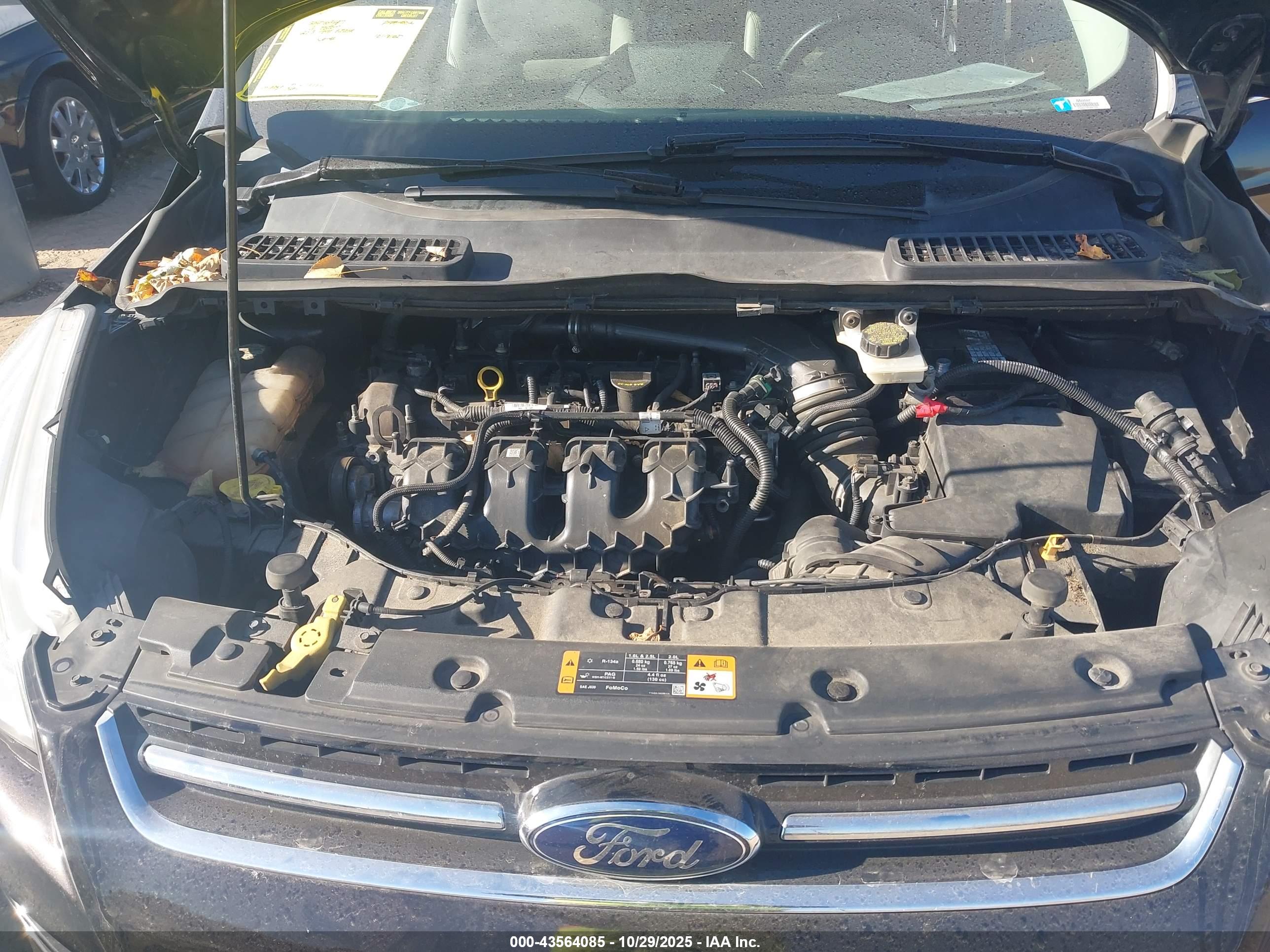 FORD ESCAPE image 10