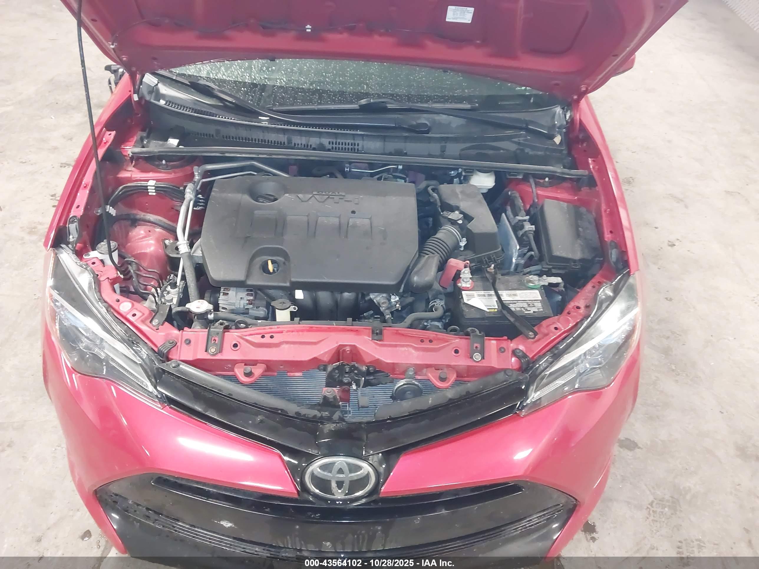TOYOTA COROLLA image 10