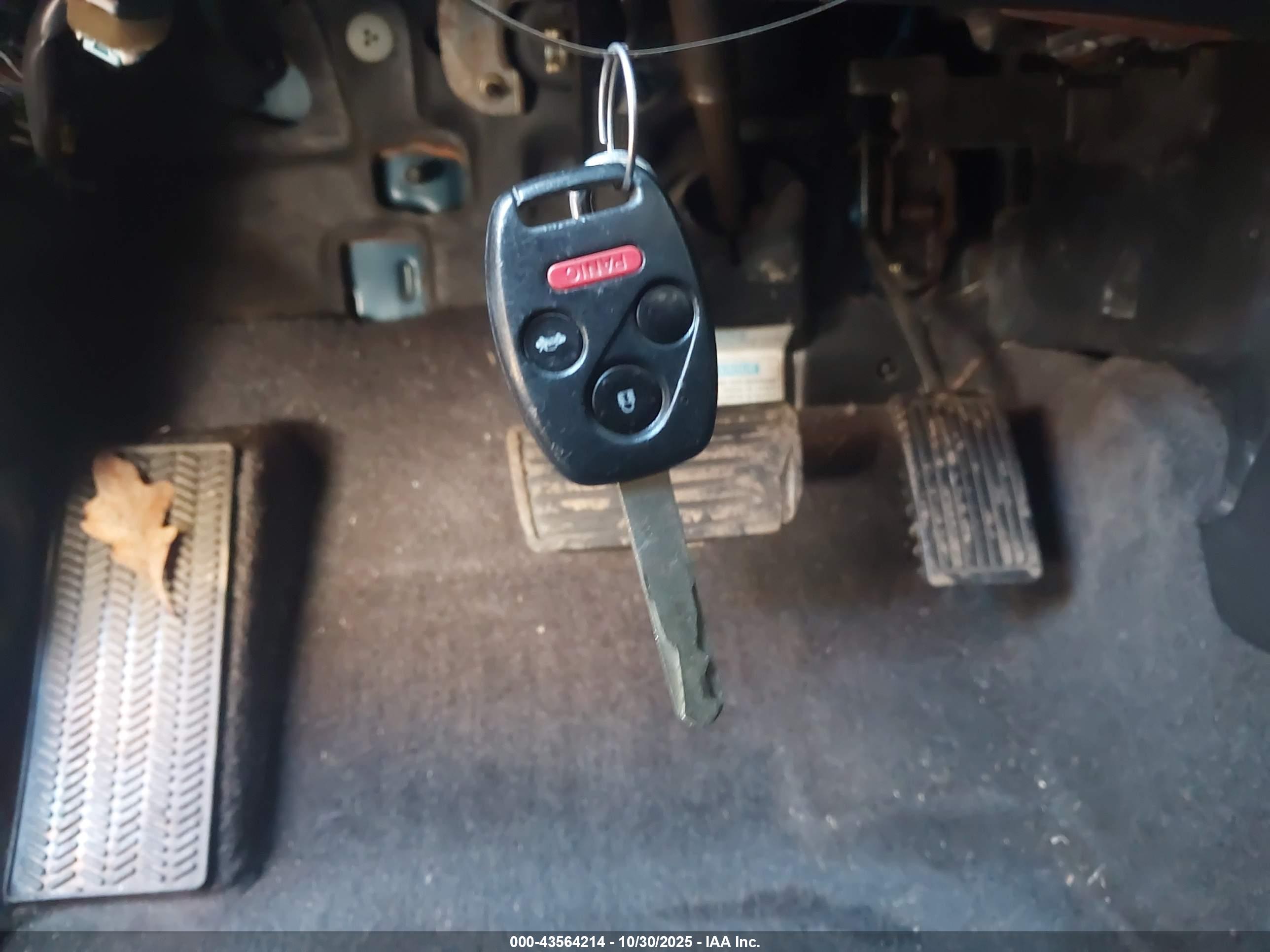 HONDA ACCORD image 11