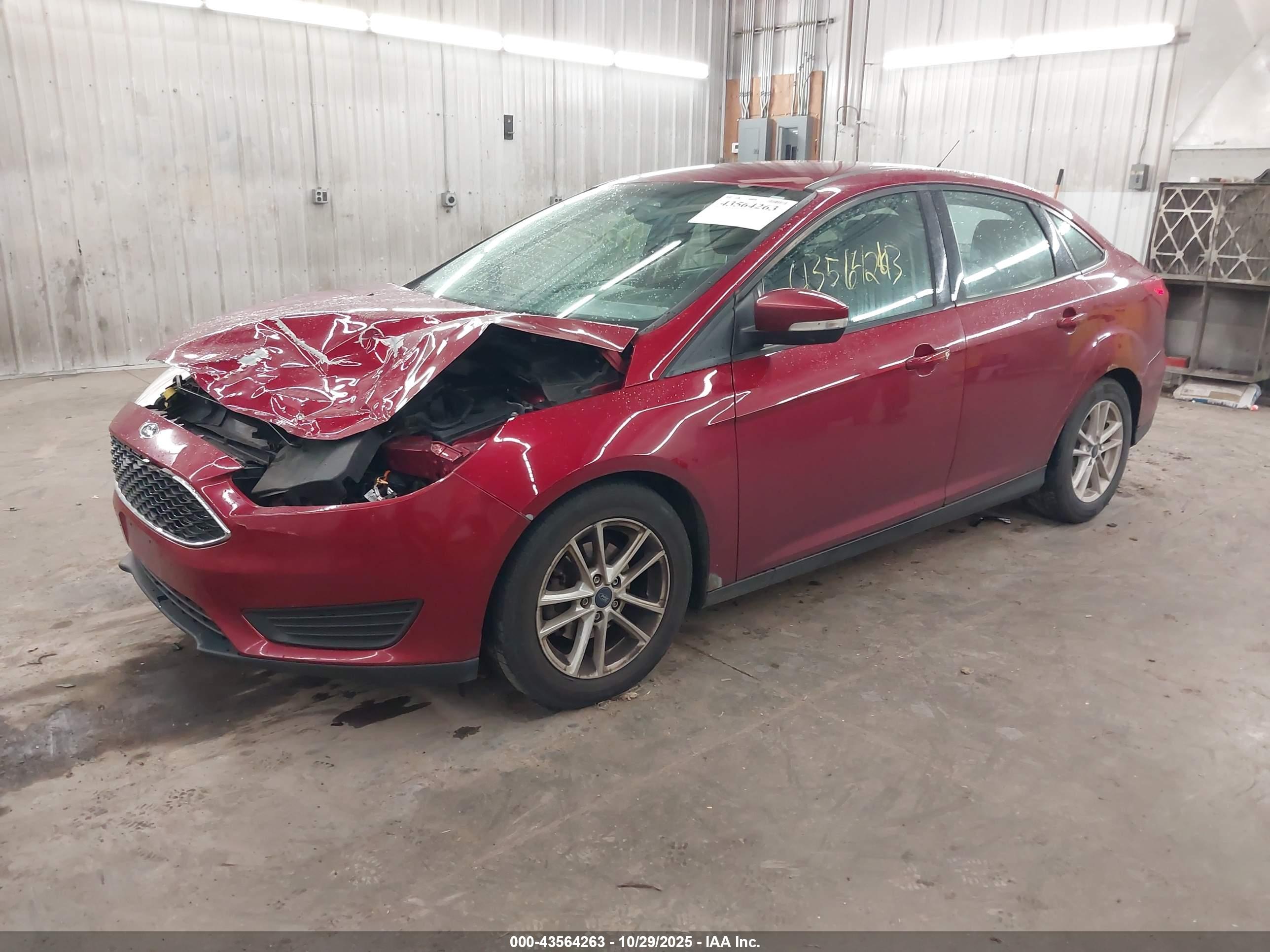 FORD FOCUS image 2